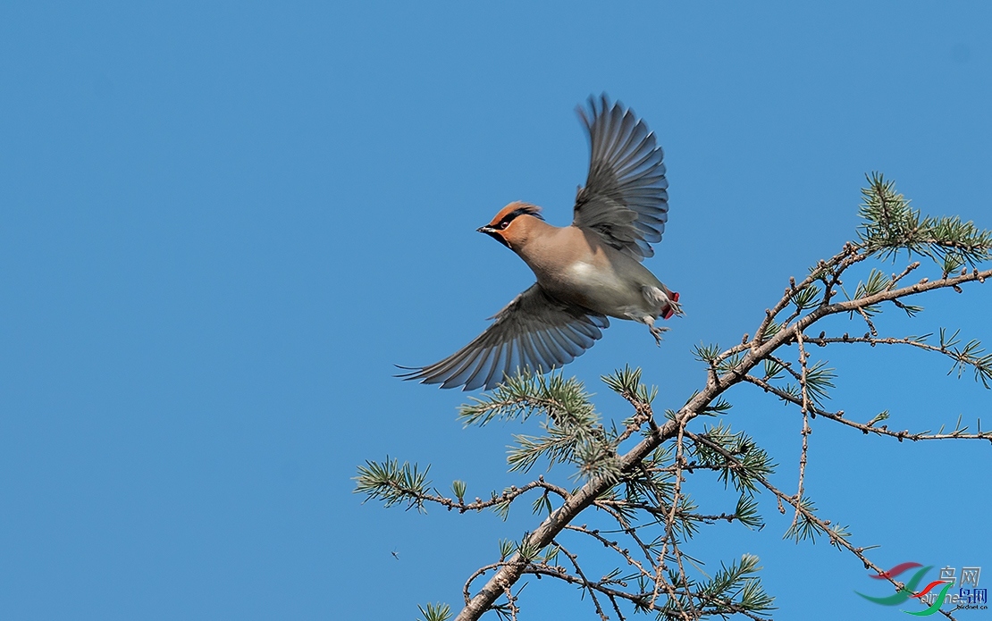 ��ë��Ӱ ��ʦ�����ڽ���ʡ������.jpg