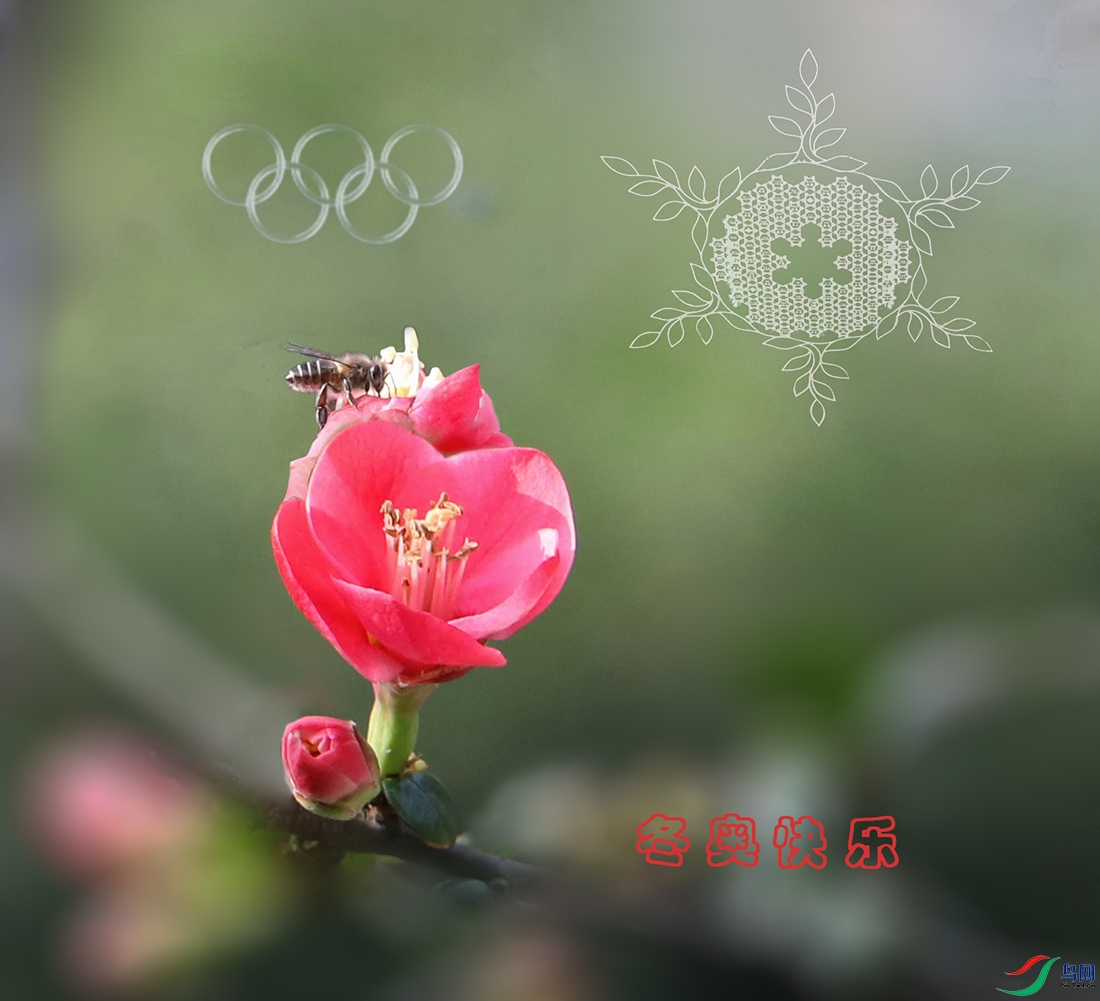 00000583A3728 ���� 5000k.jpg