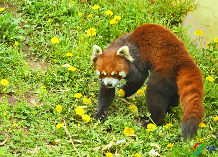 _DSC0681_00001-p-01-01-P-2.jpg