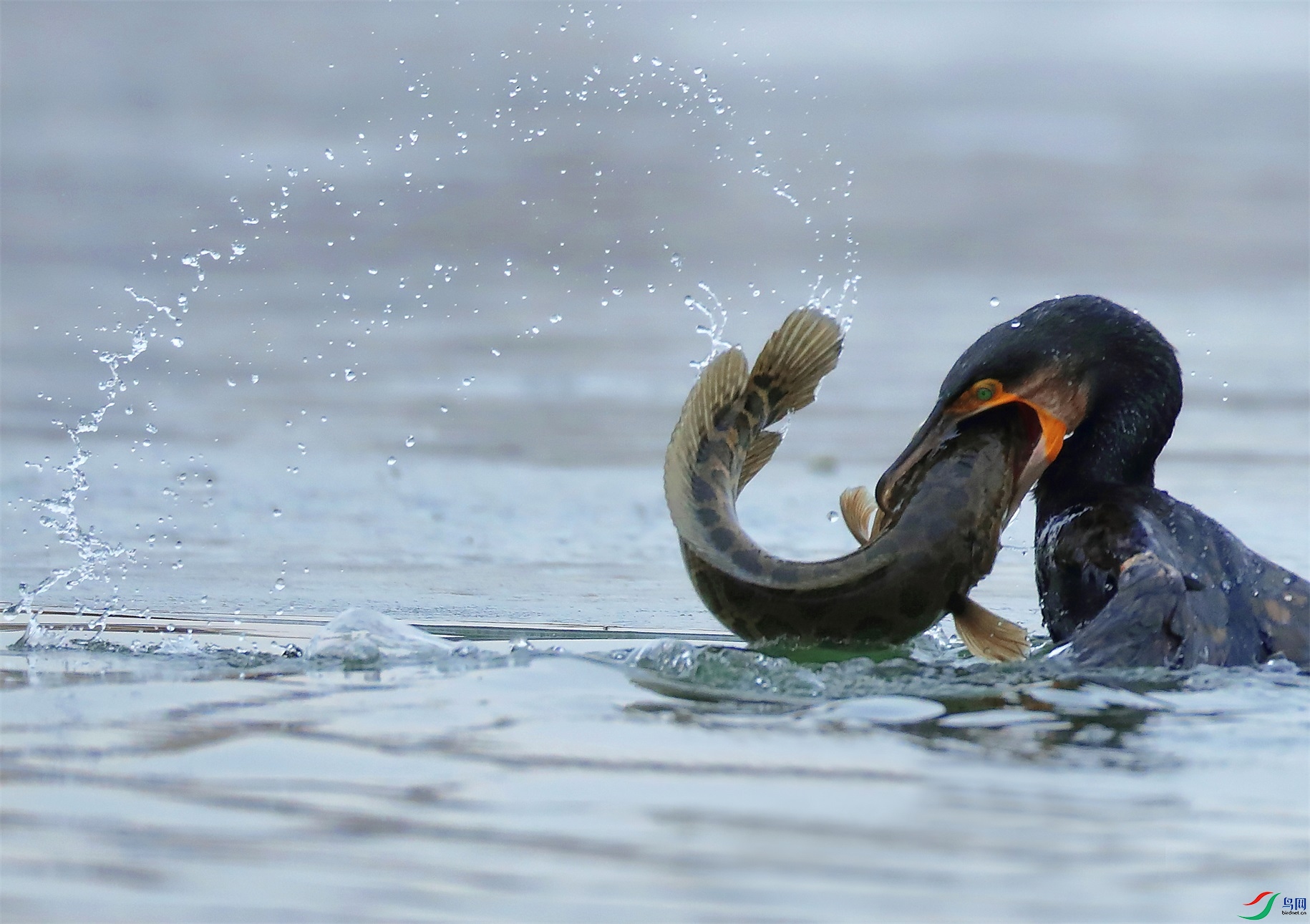 3 - ���� (2).JPG