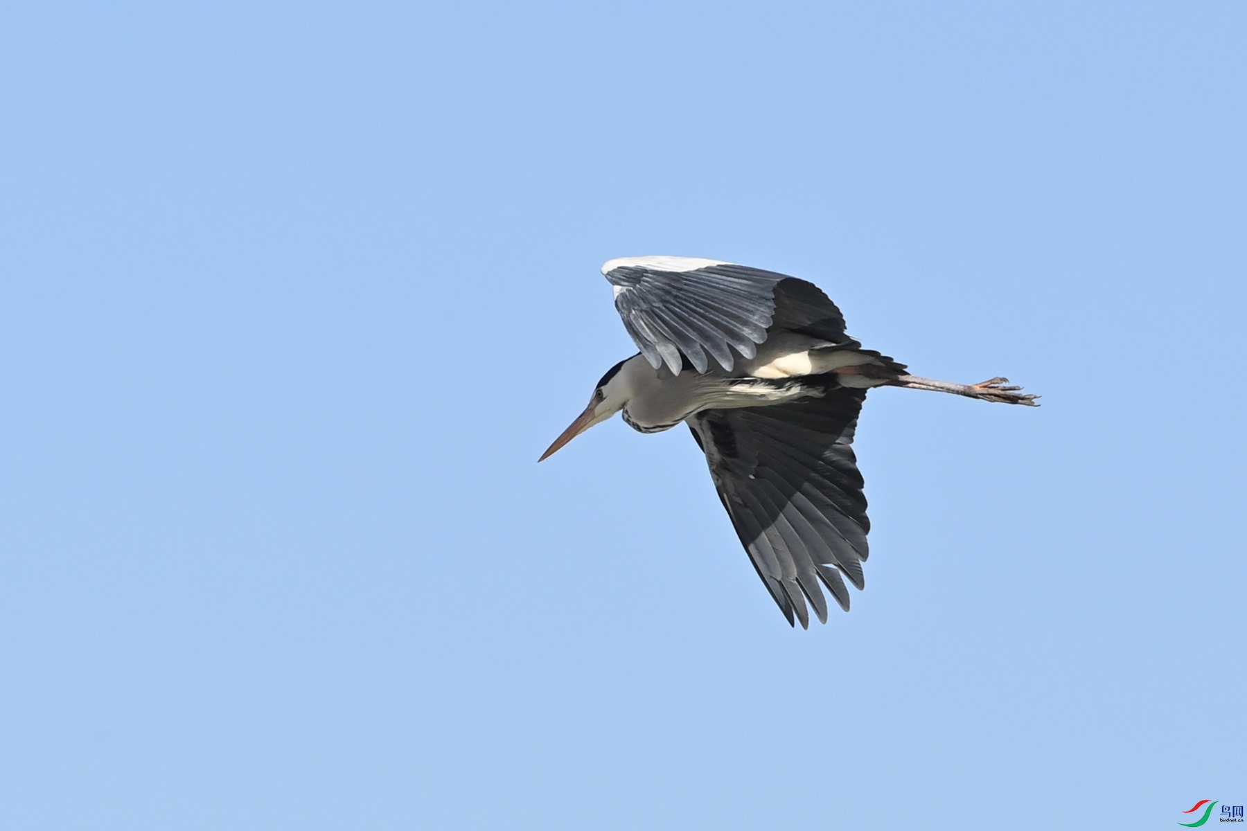 DSC_2852.jpg