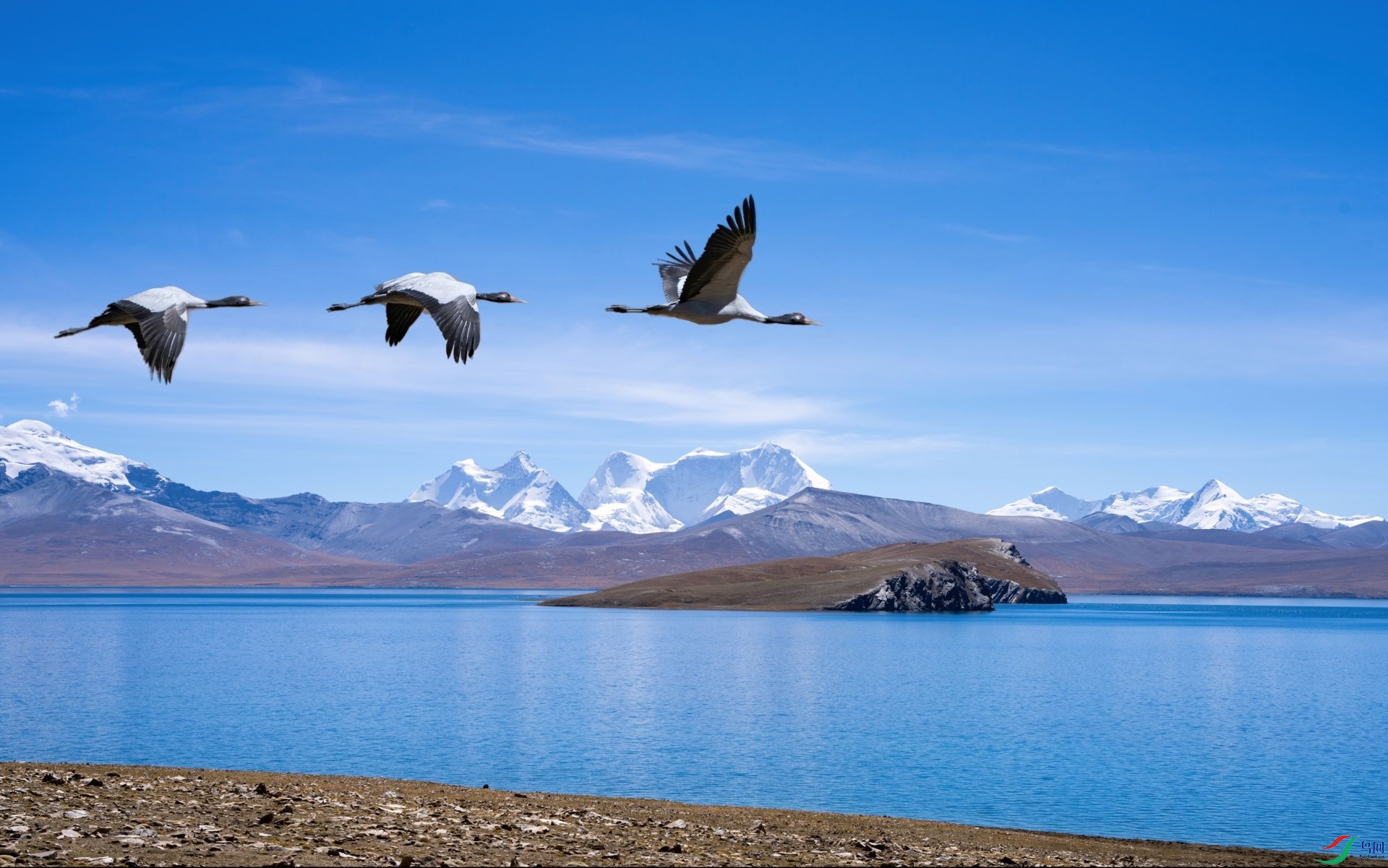 DSC06537-denoise-denoise-ma (2).jpg