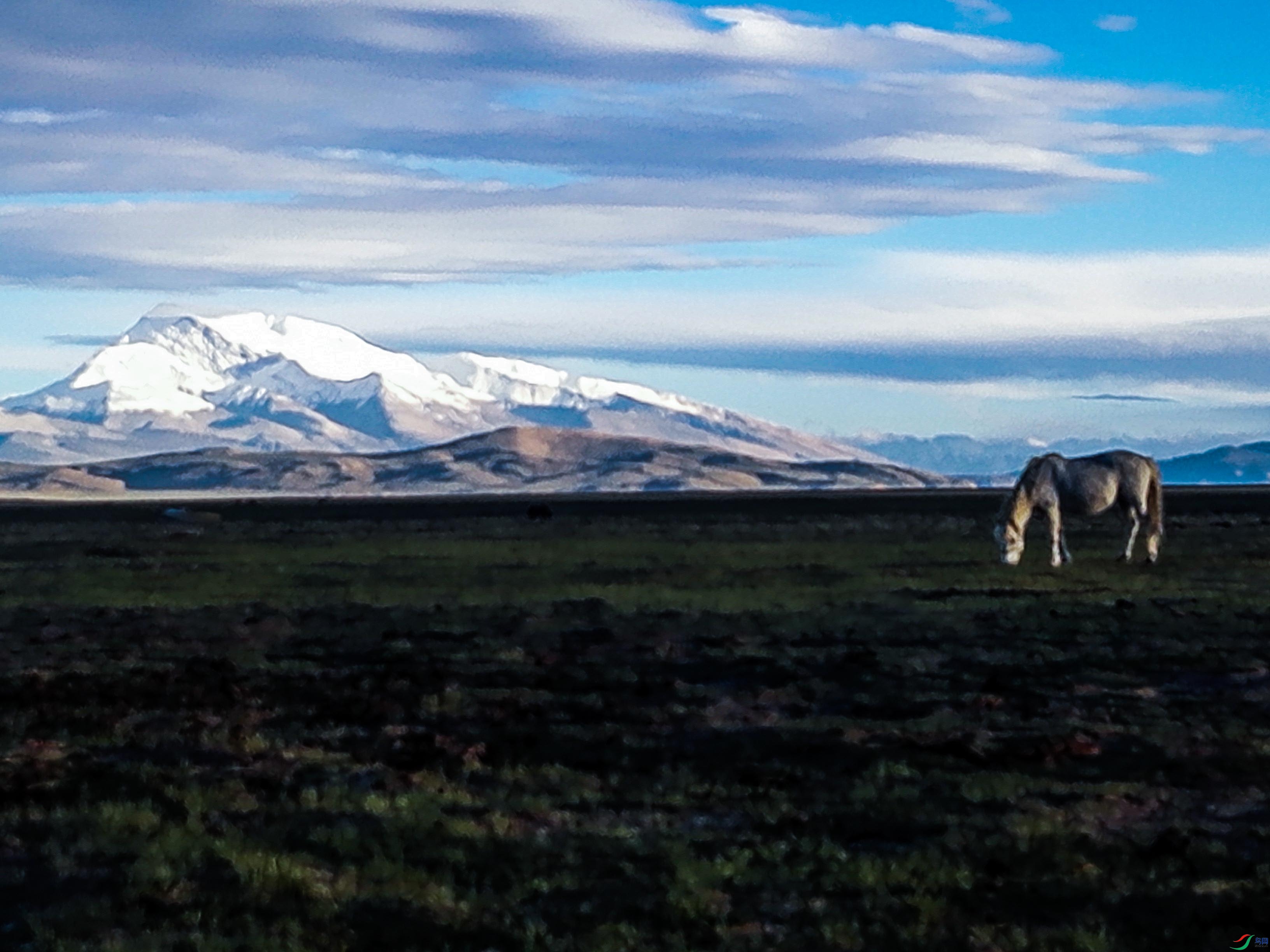 ��ԭ����