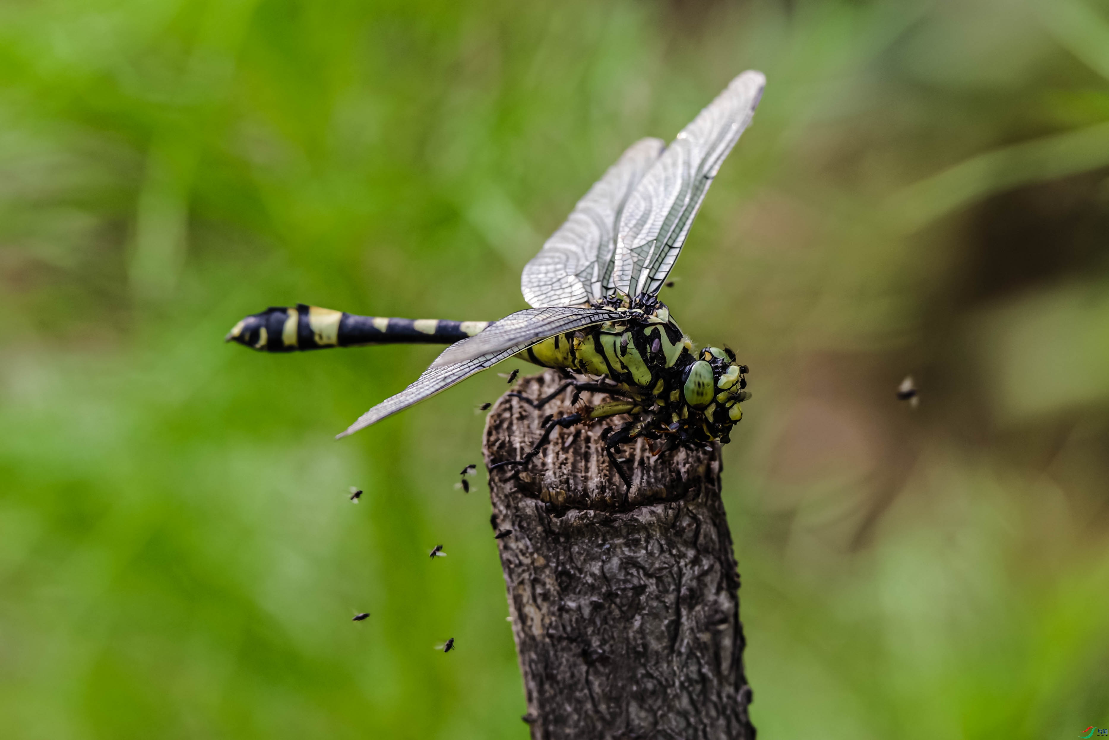 QQphoto.jpeg (5).jpg