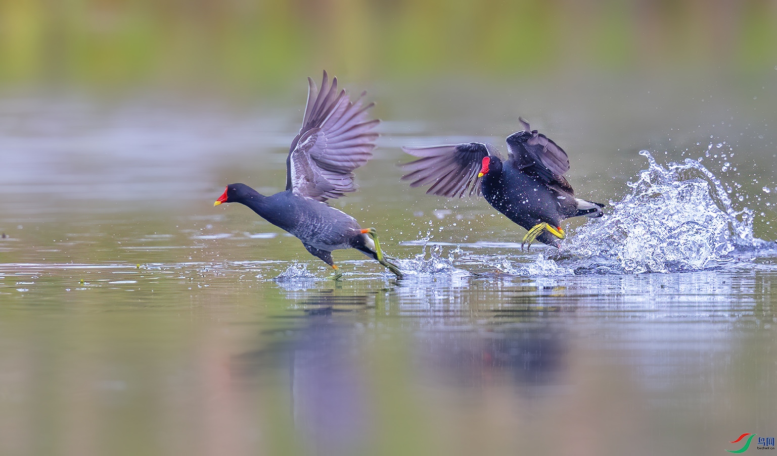 AC0I0854 ����.jpg