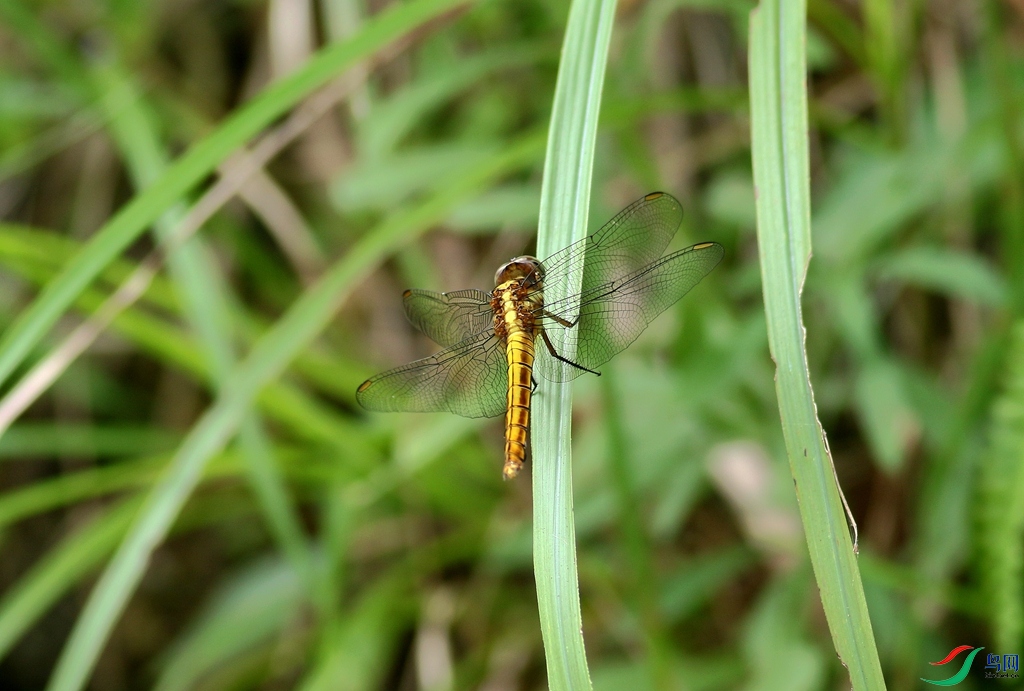 367A8623_����.jpg