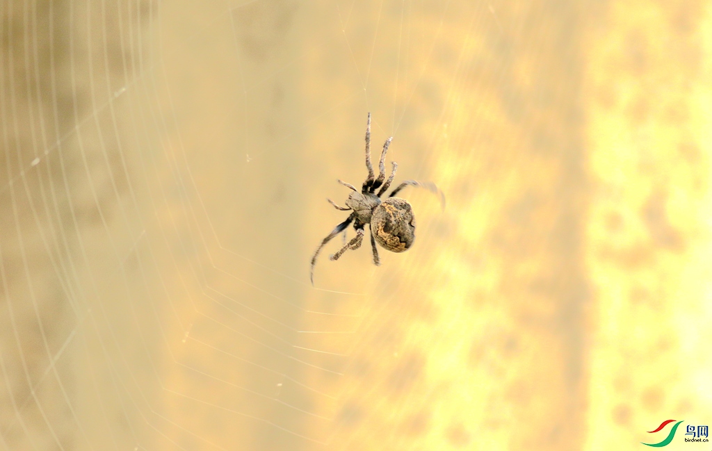 367A2662_����.jpg