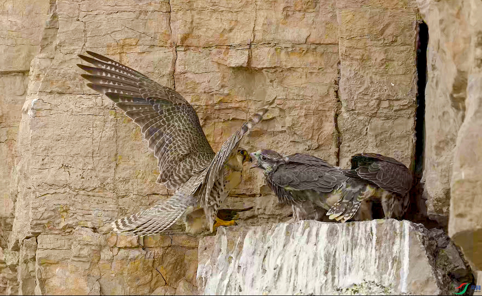 ���� 01.00_00_49_016.Still003.jpg