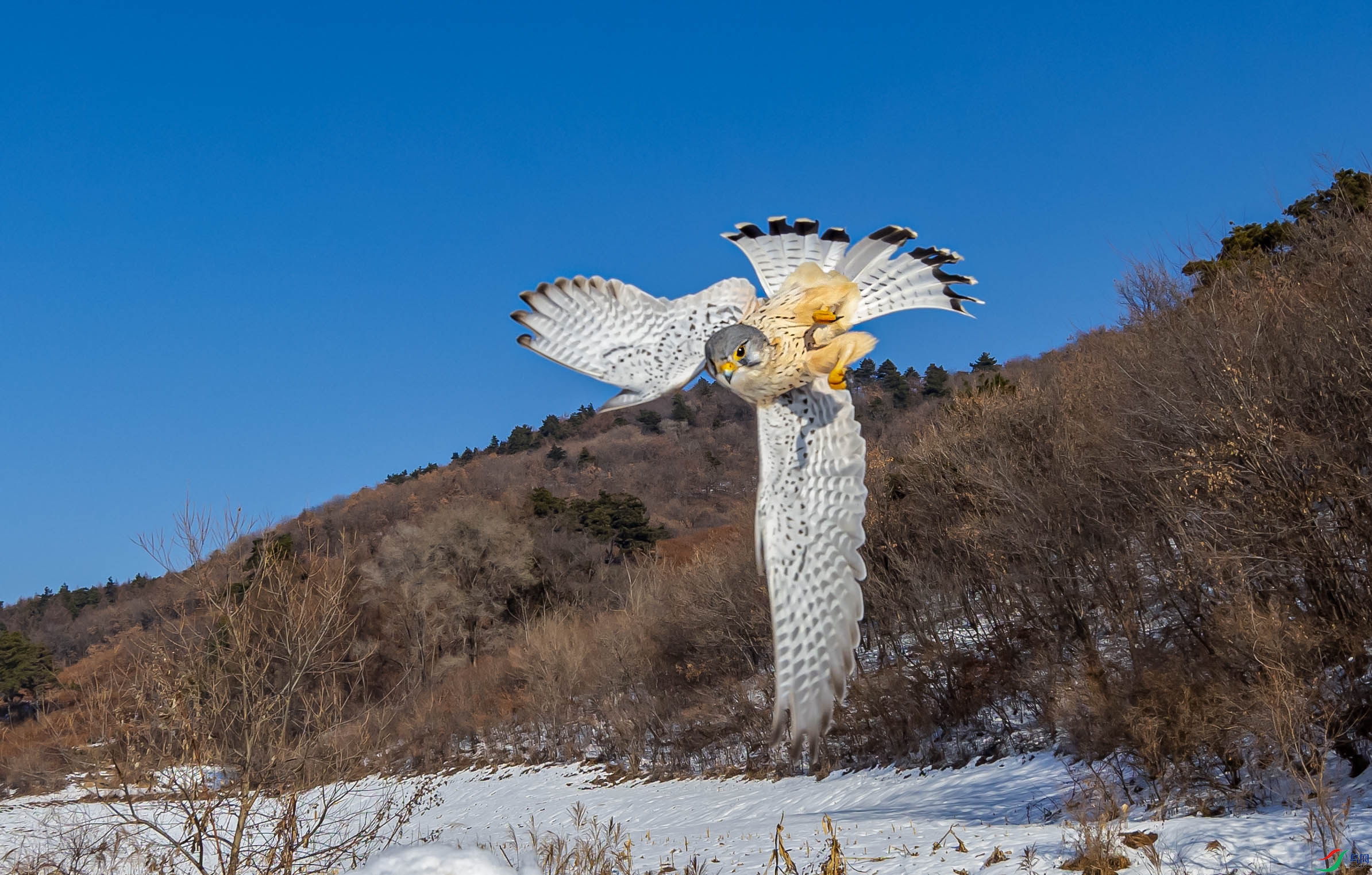 ���ӷ���