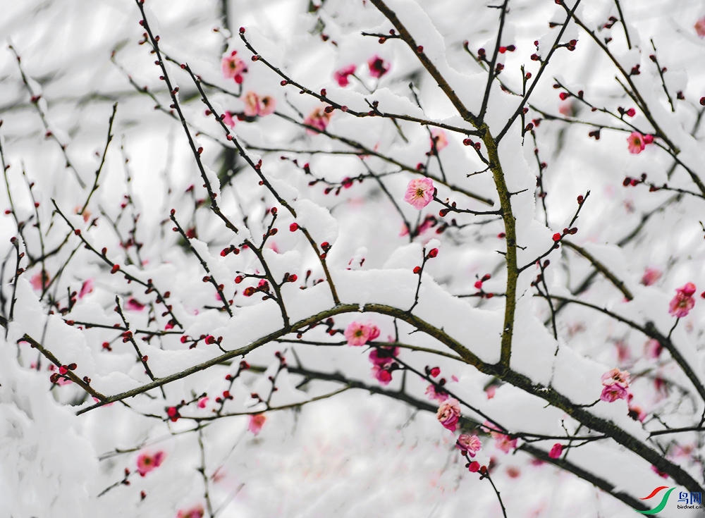 DSCF3572 ����.jpg