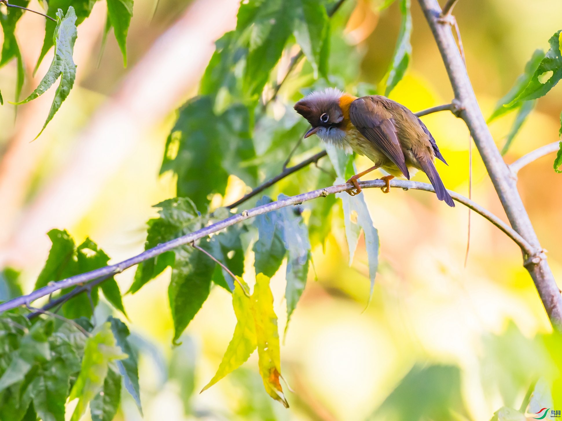 �ƾ�����