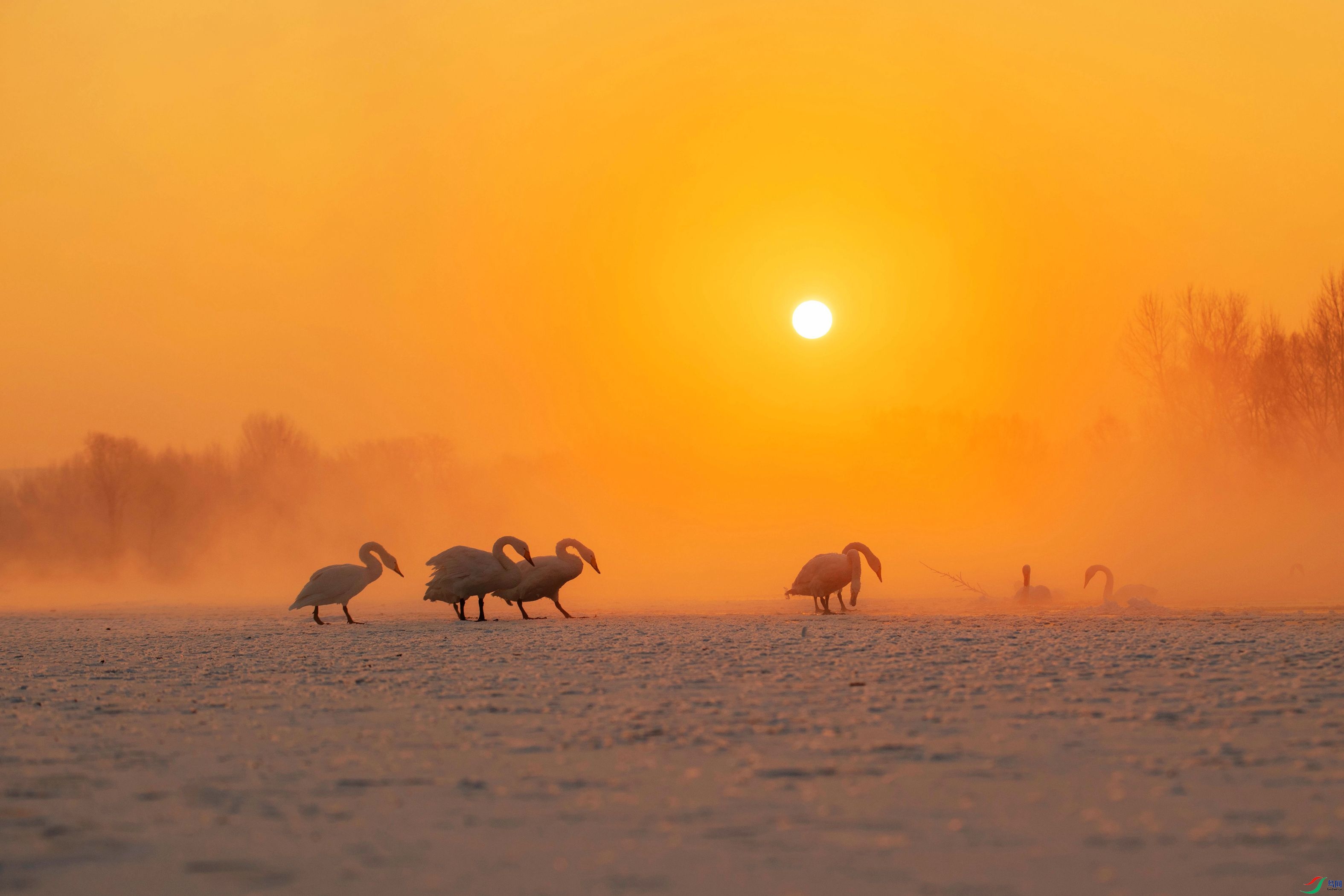 _LJY4570_����_����.jpg