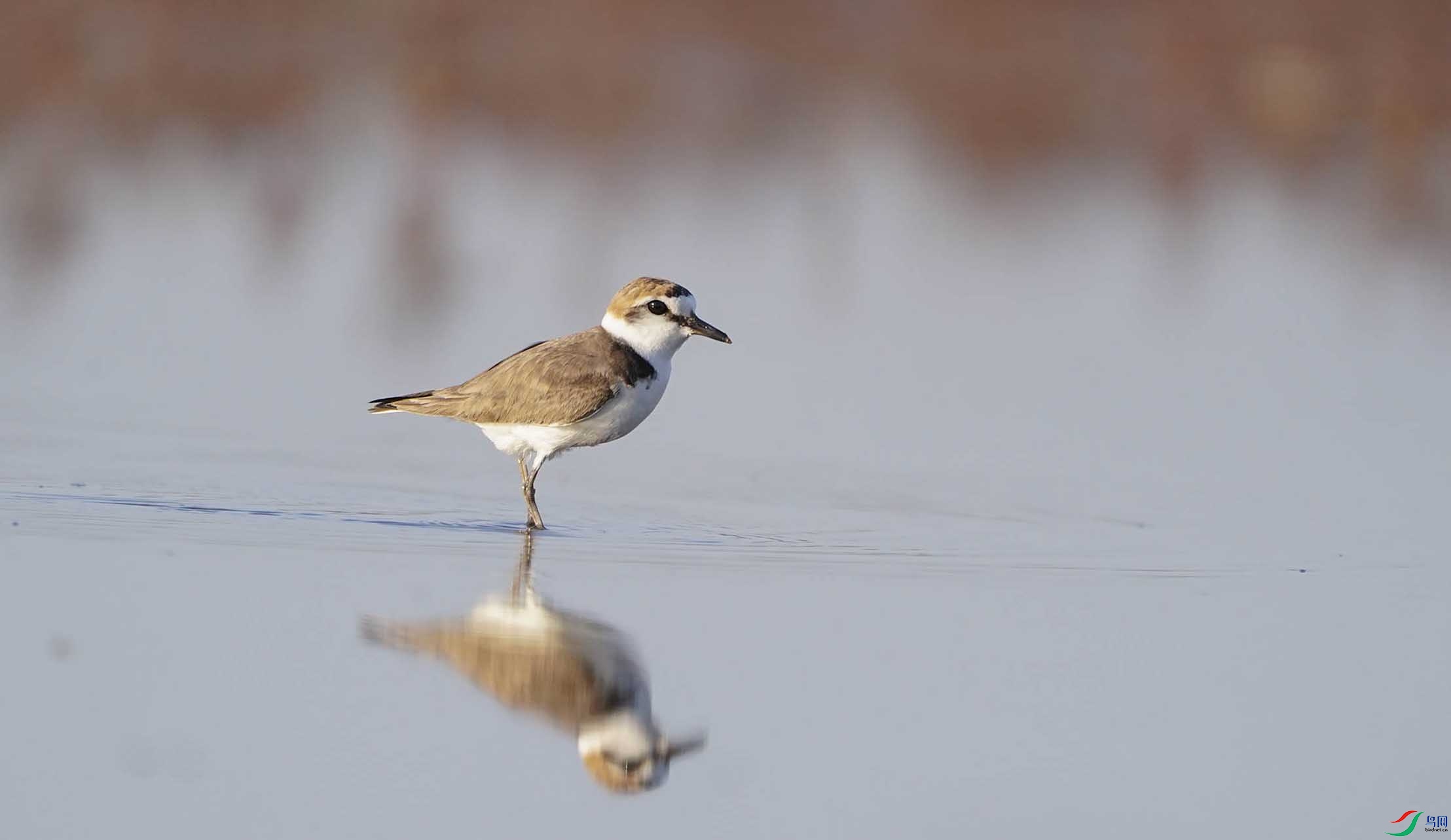 DSC05553-3 - ���� (2).jpg