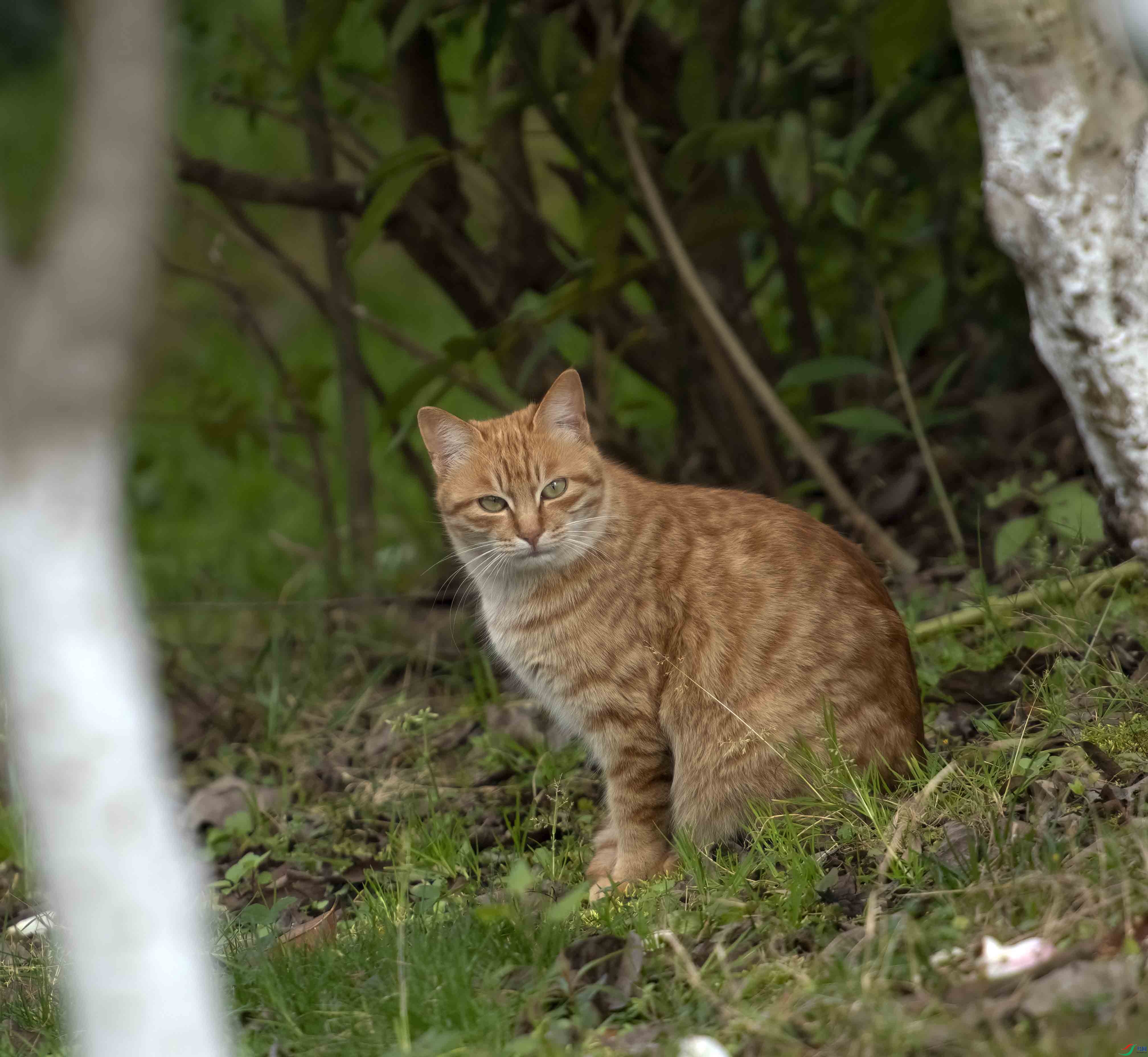 DSC_6041-2.jpg