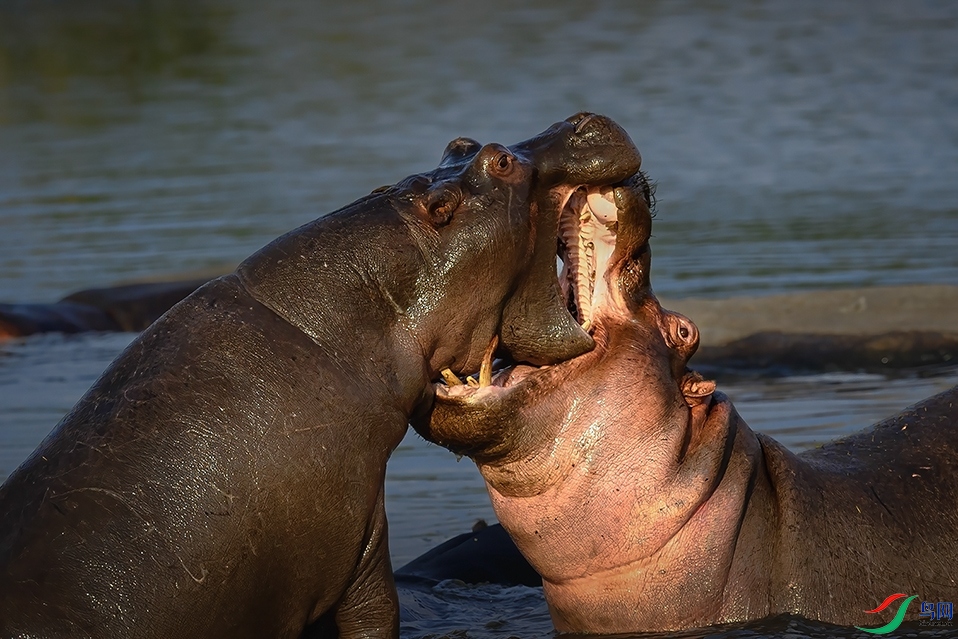 �����ڿ���������������