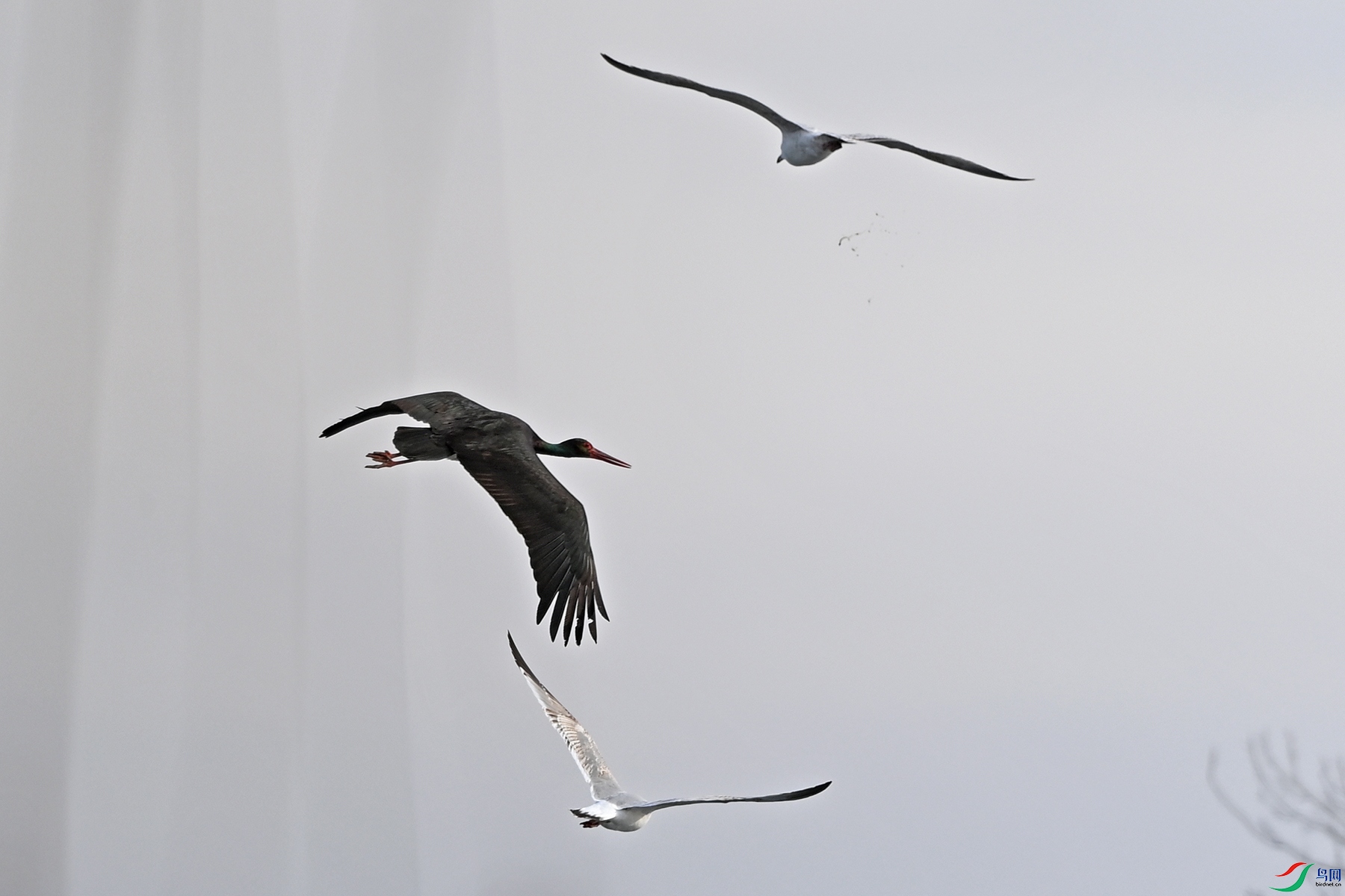 DSC_3702.jpg