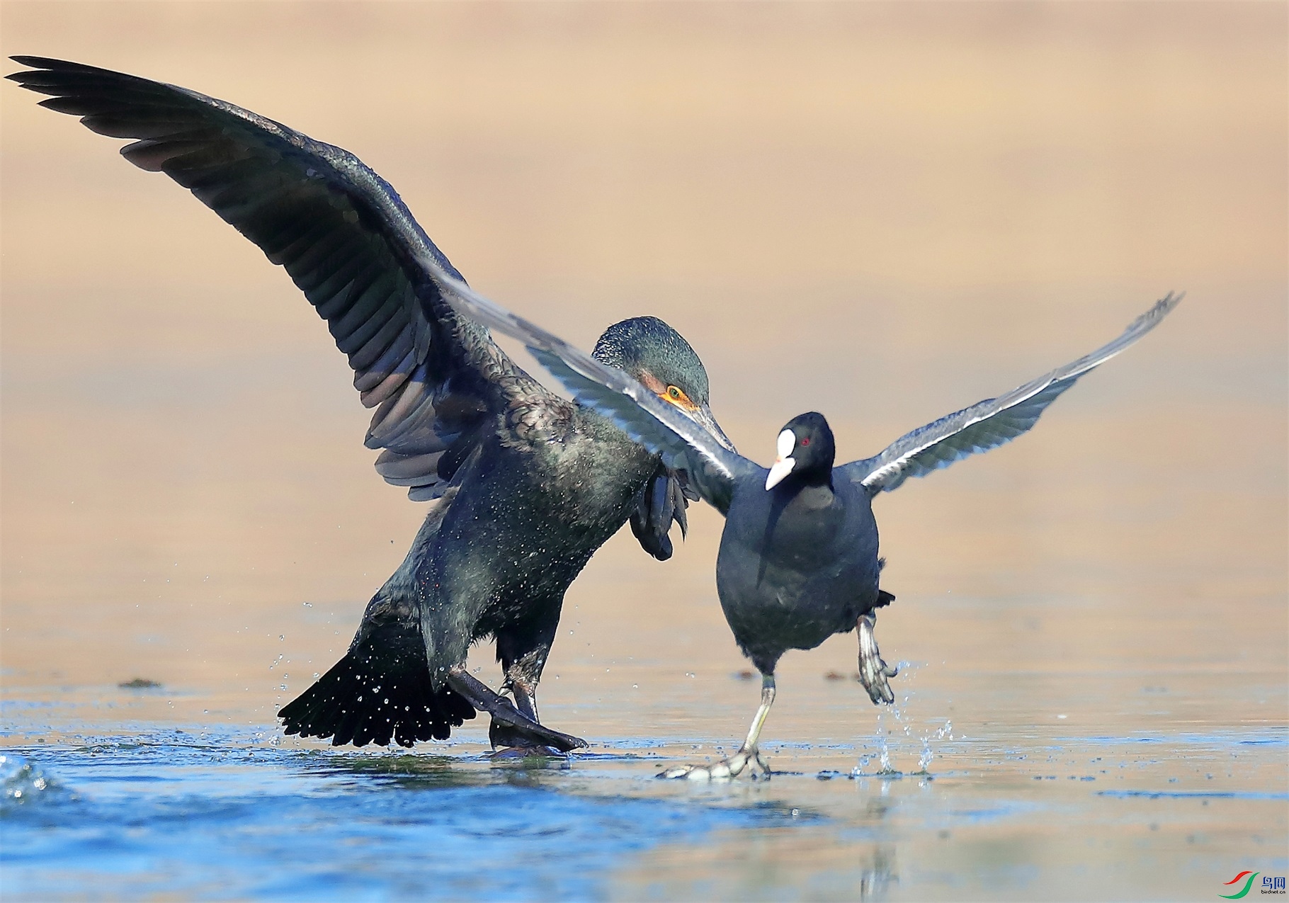 3333 - ����.jpg