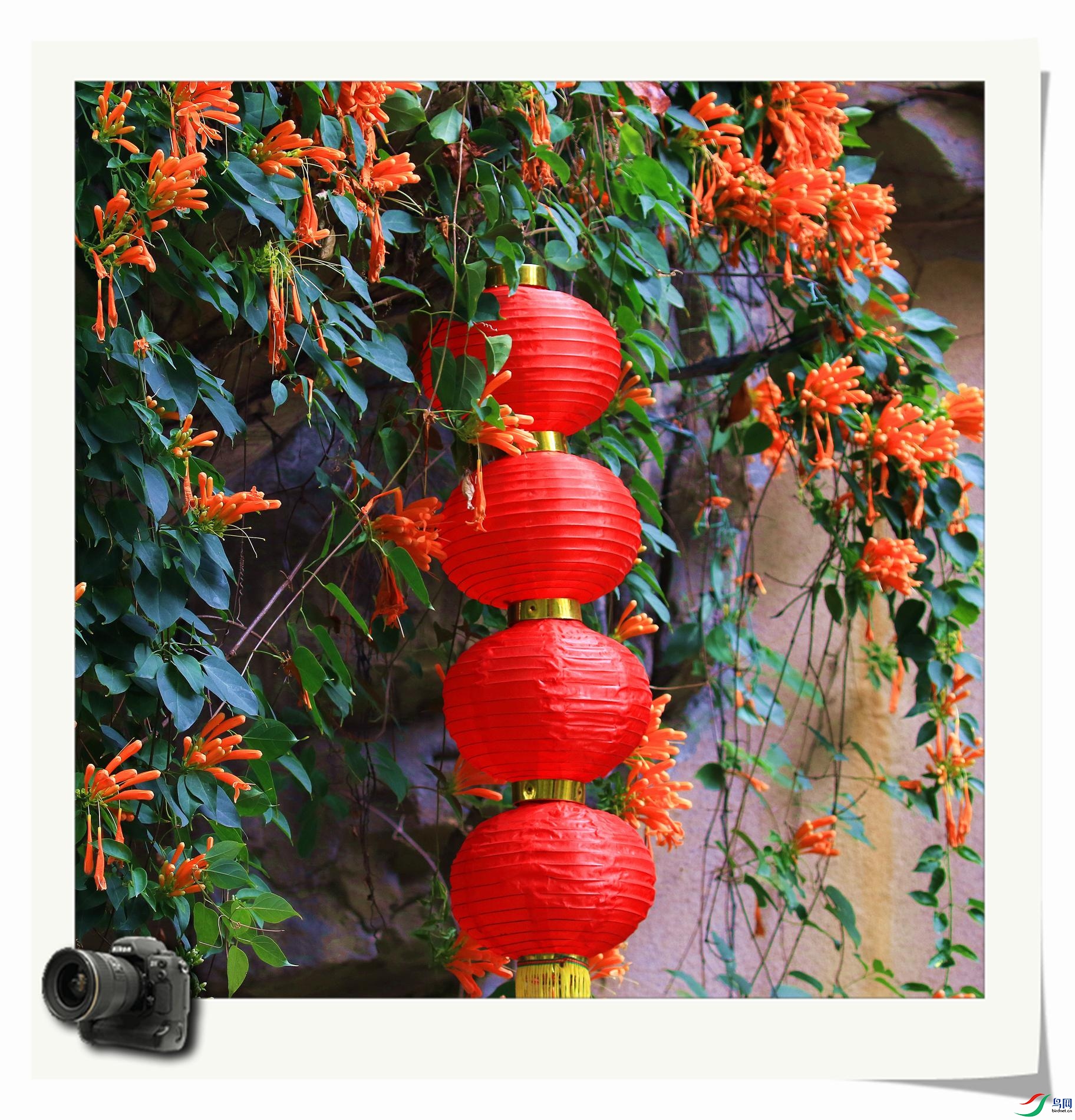 ���ڻ�������