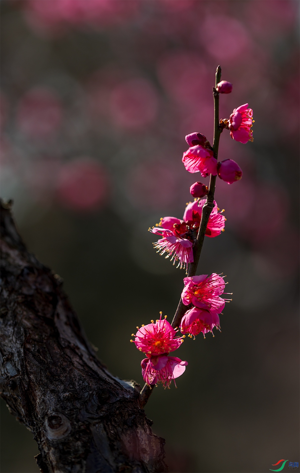 HCP_1322-1.jpg