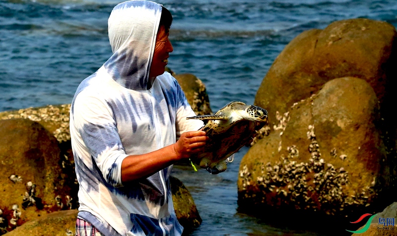 646A2264_220 ��� ��.jpg