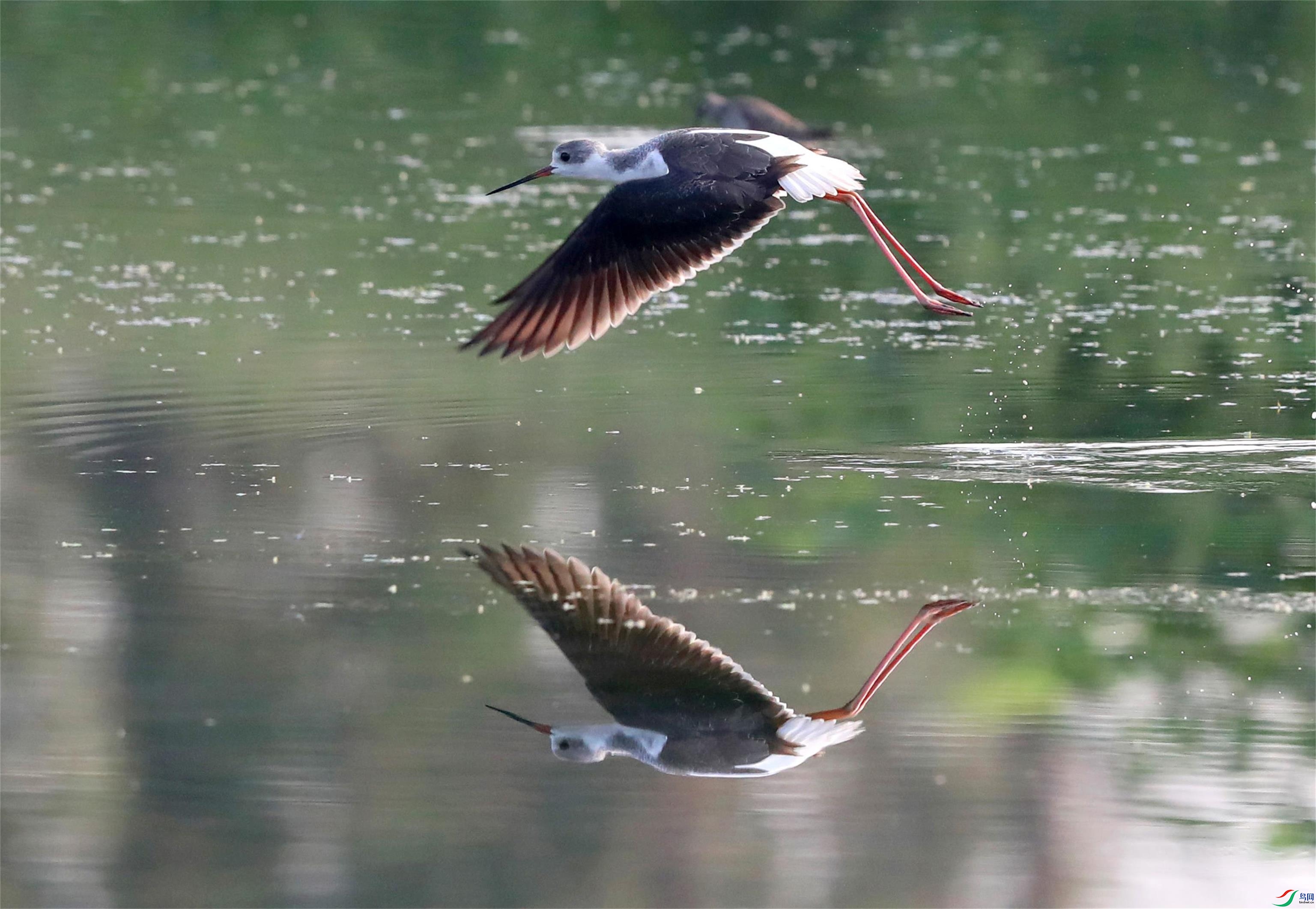 A15I0025 (2) - ����.JPG