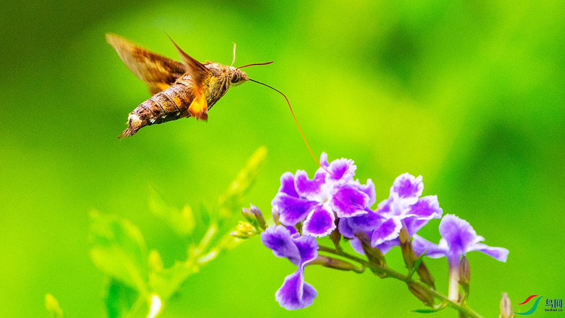 ��LPY_5041.jpg