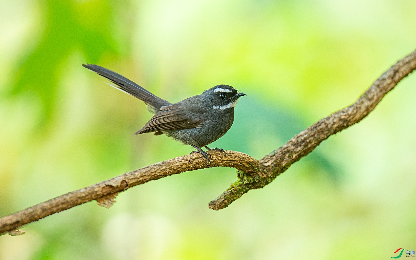 AB4O3426-1.jpg