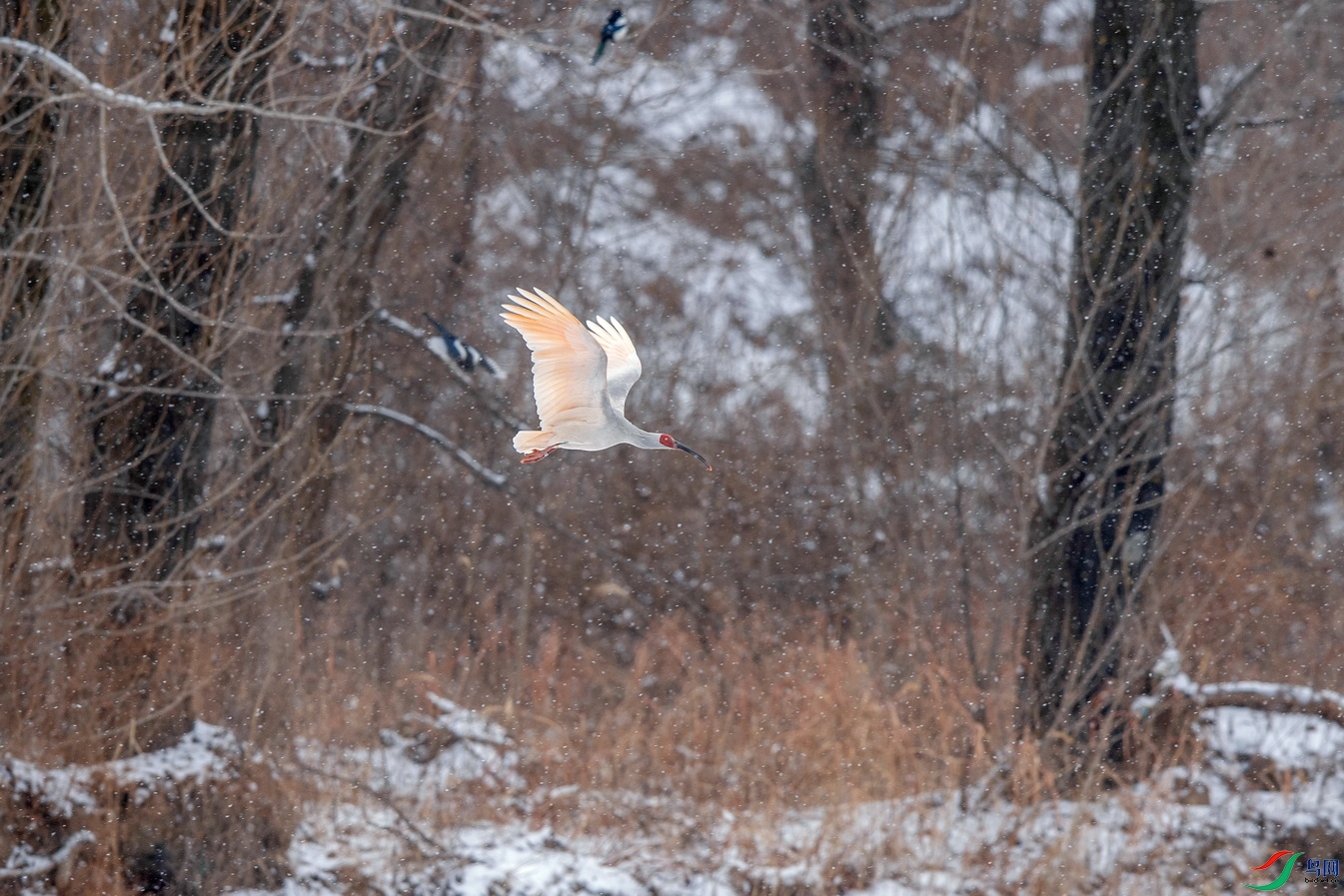 _DSC6837-1F01.jpg