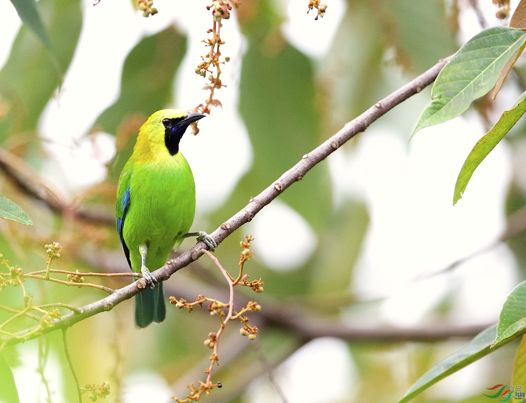 ��Ӱ����  ��ʦ����.jpg