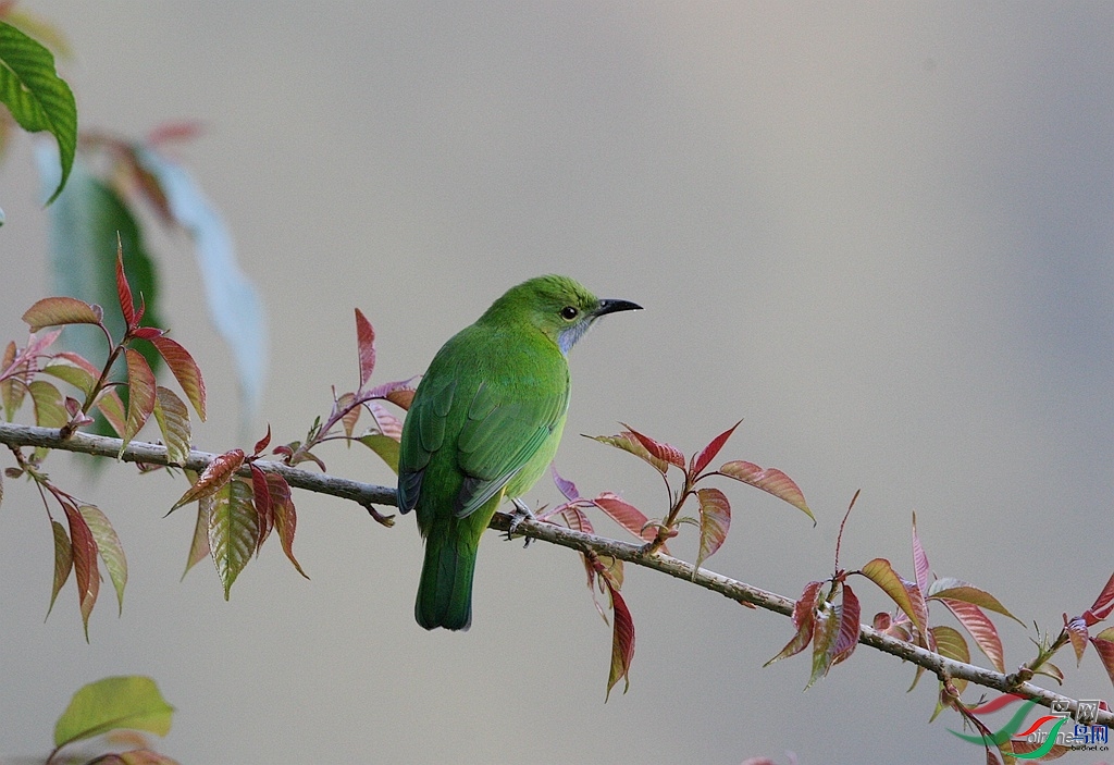 ����  ��ʦ����������ʡ��ɽ��.jpg