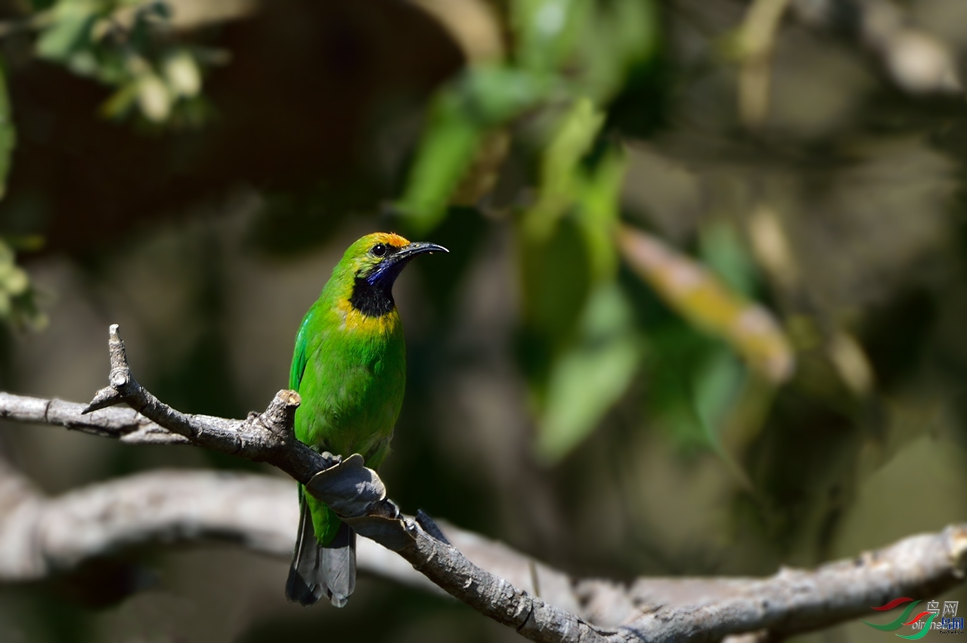 ֪������ ��ʦ����.jpg