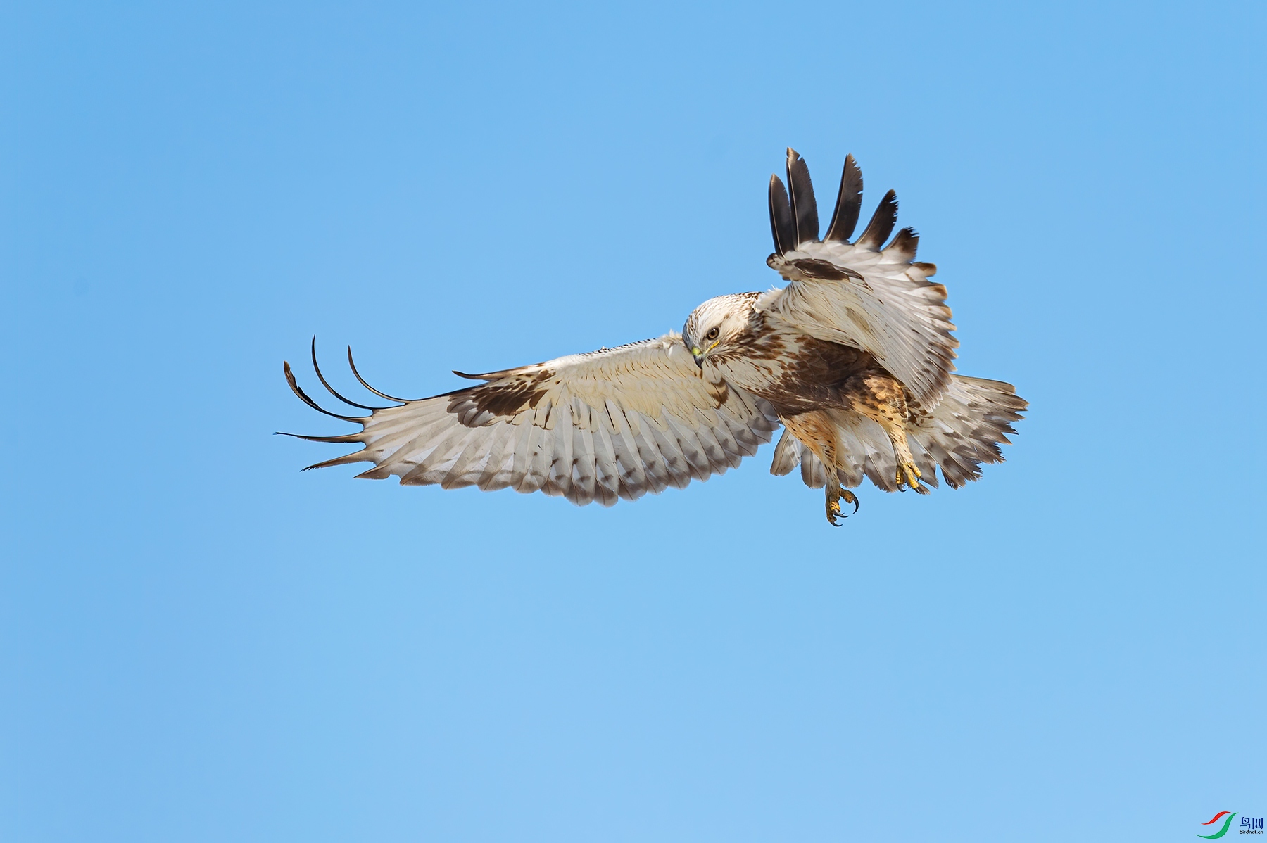 L04_2953-2.jpg