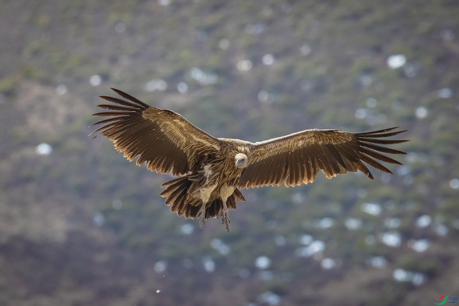 AO4I7575-2 ����.jpg