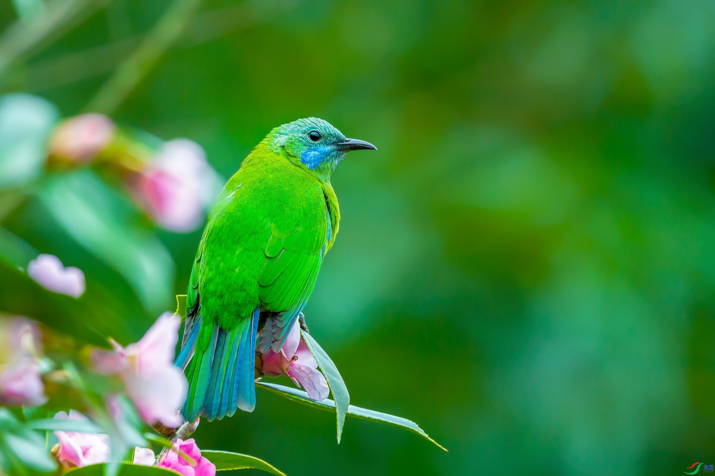 xklw  ��ʦ�������㽭ʡ������.jpg