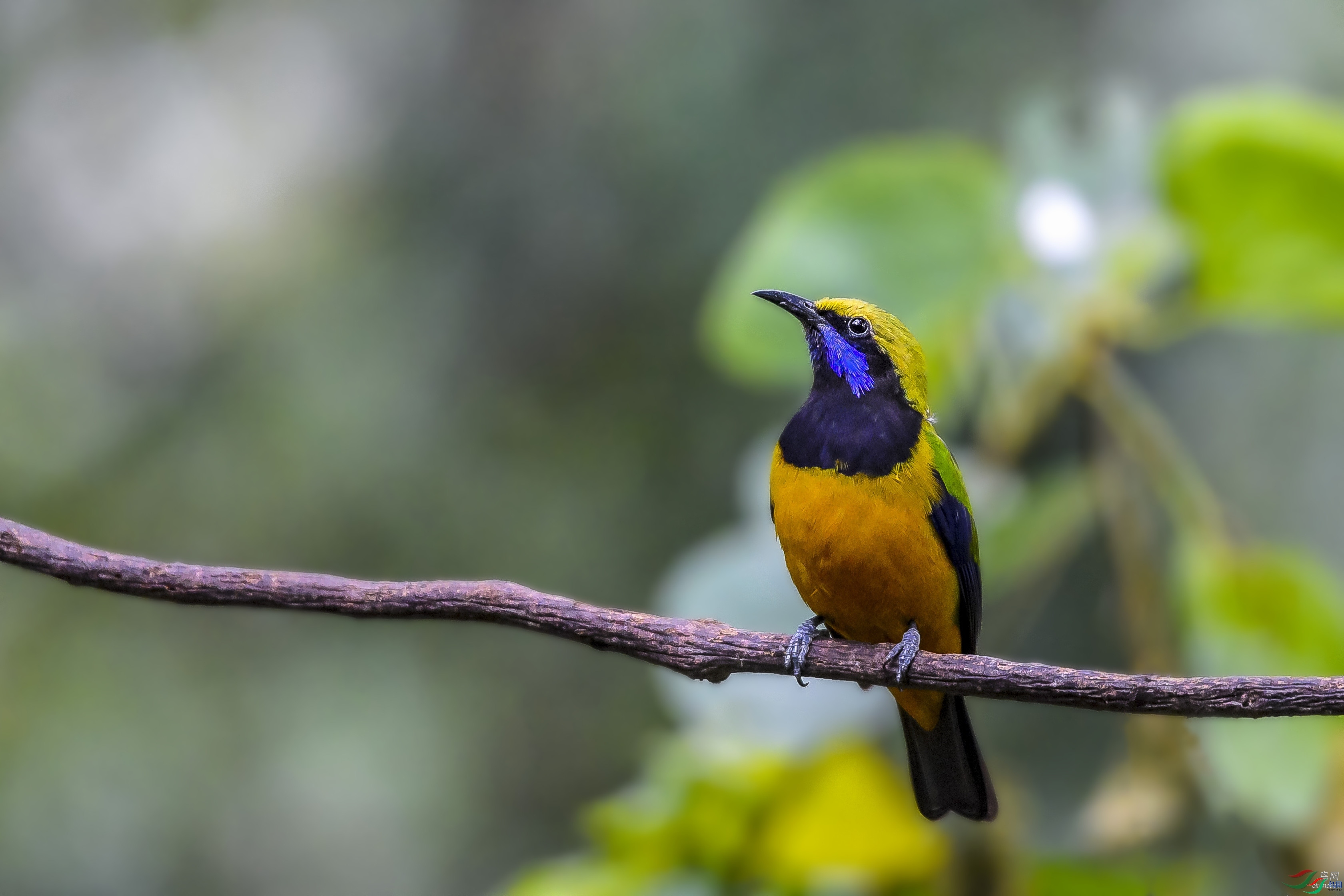 ������������   ��ʦ����������ʡ��ɽ��.jpg