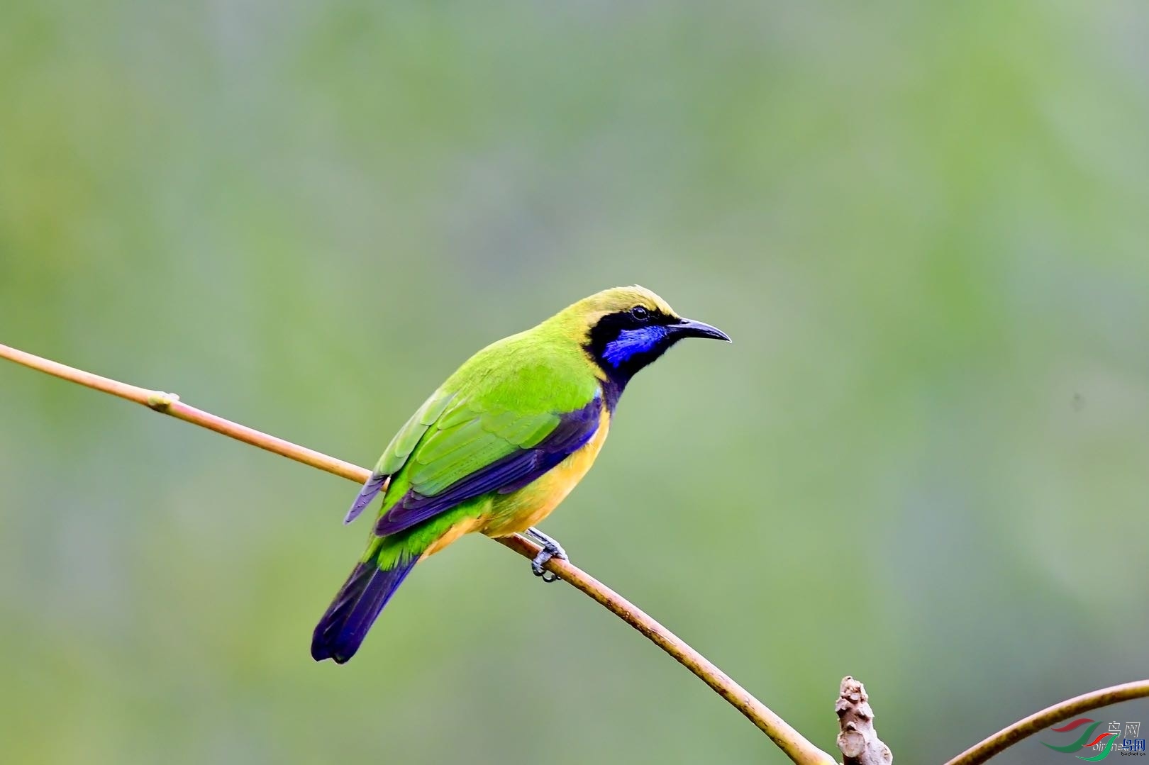 �����  ��ʦ����������ʡ��ɽ��������.jpg