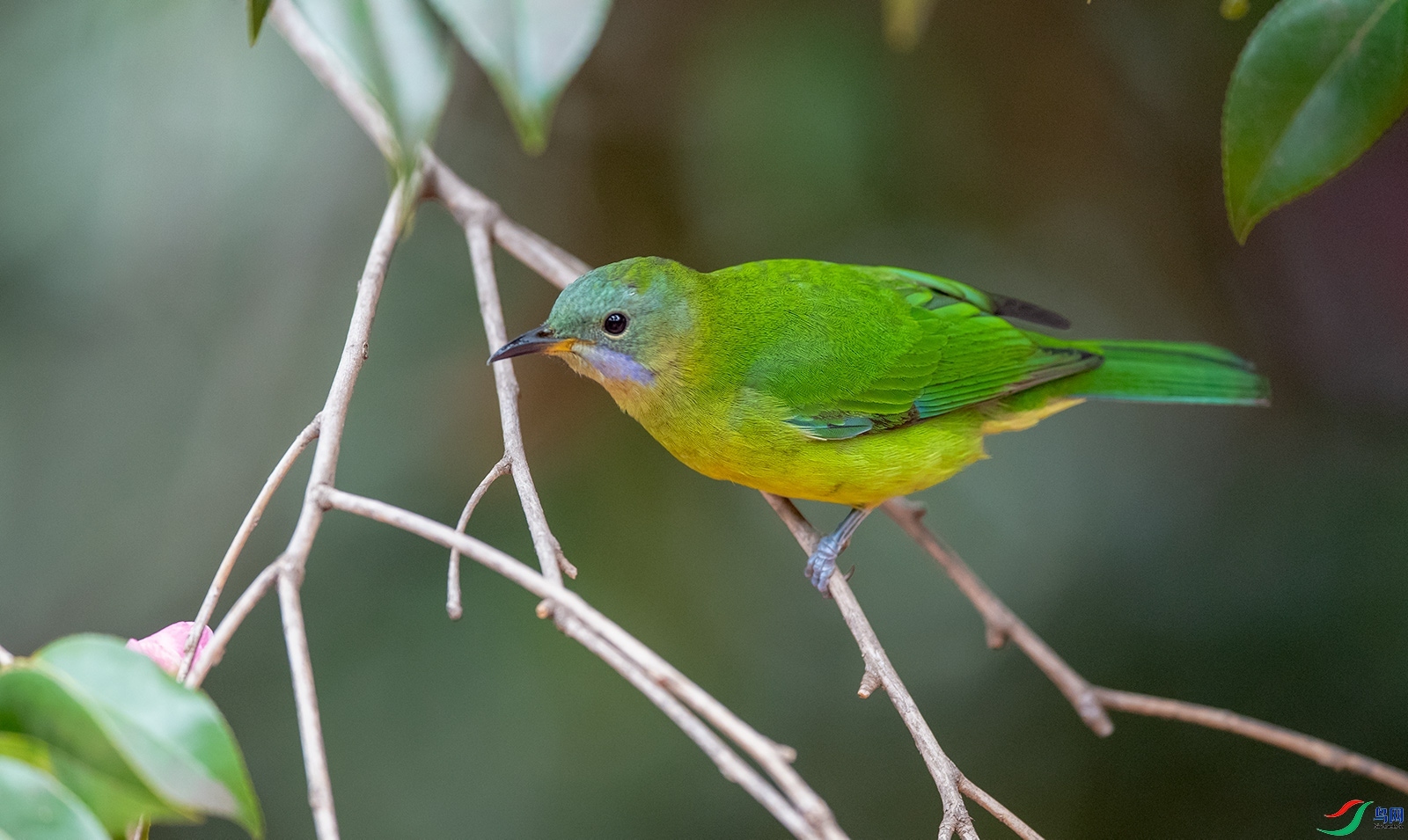 �e�  ��ʦ�����ڽ���ʡ�ϲ���.jpg