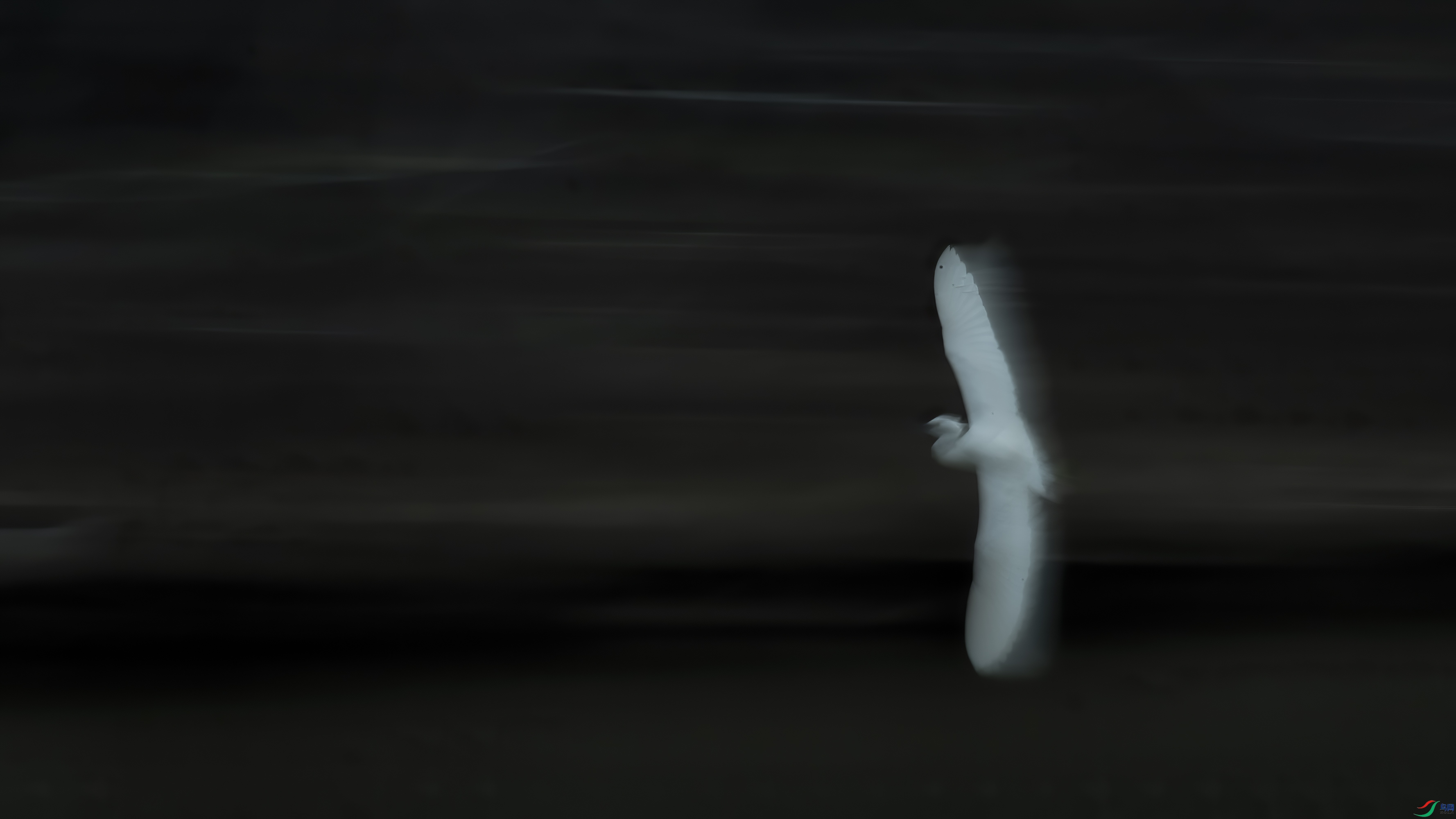 DSC_3759.jpg