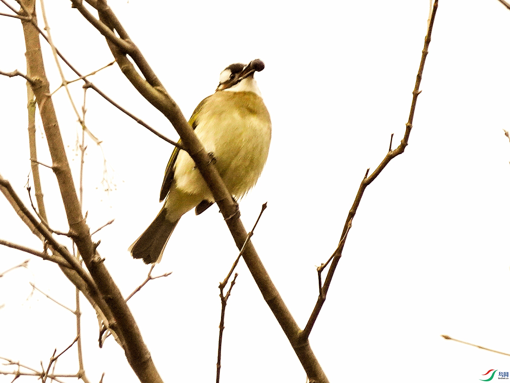 036DSC07418_1_����.jpg