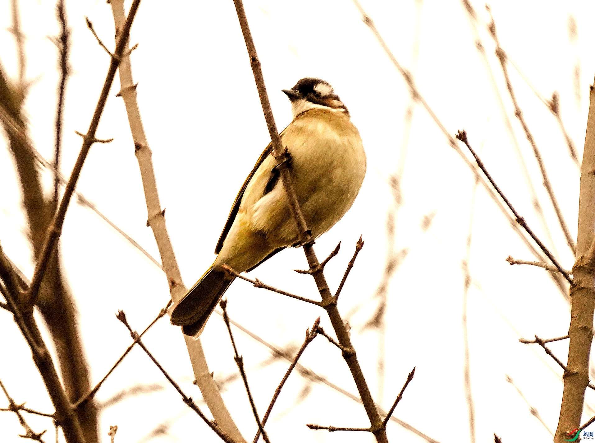 041DSC07604_1_����.jpg