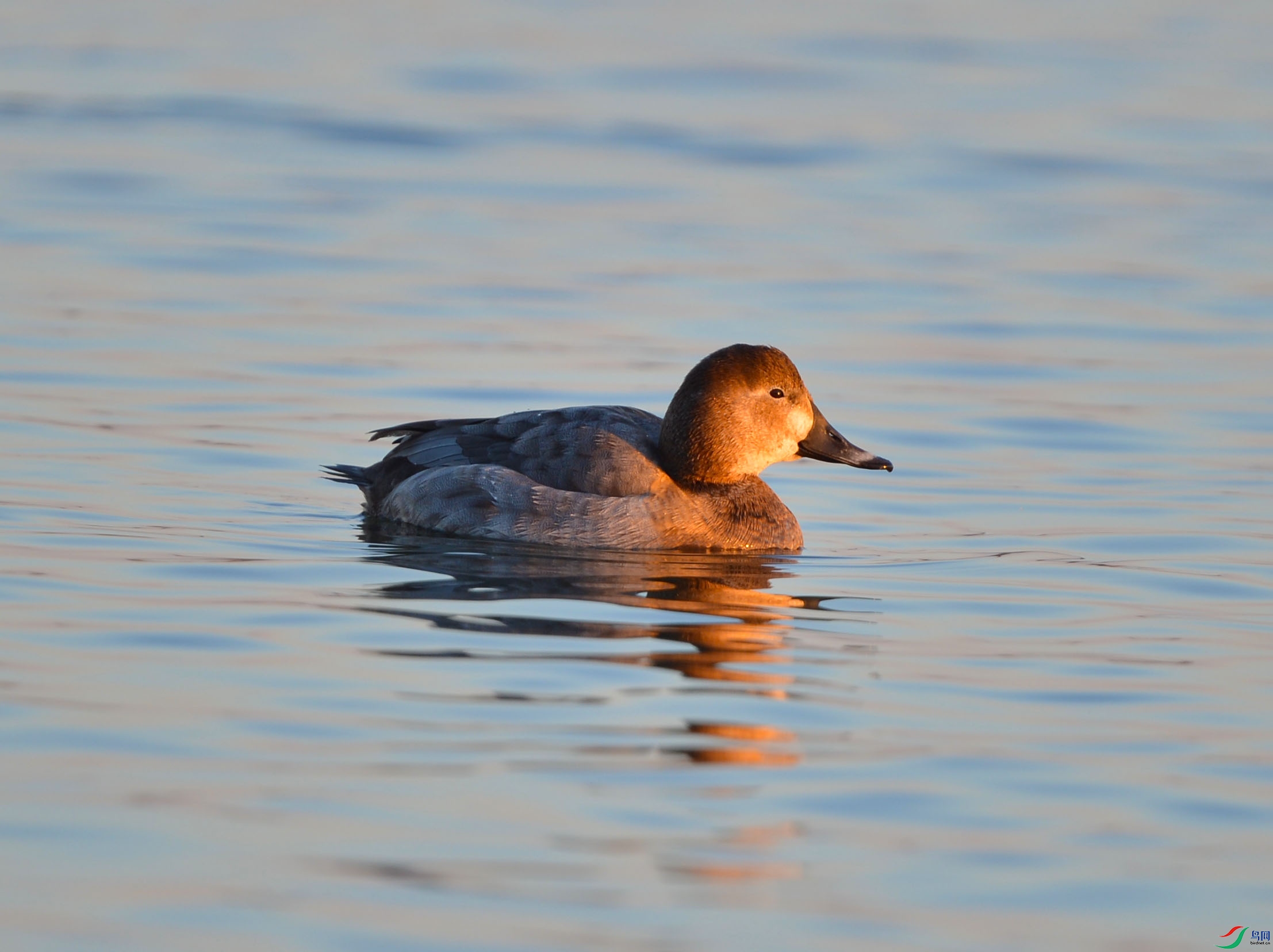 DSC_5831.jpg
