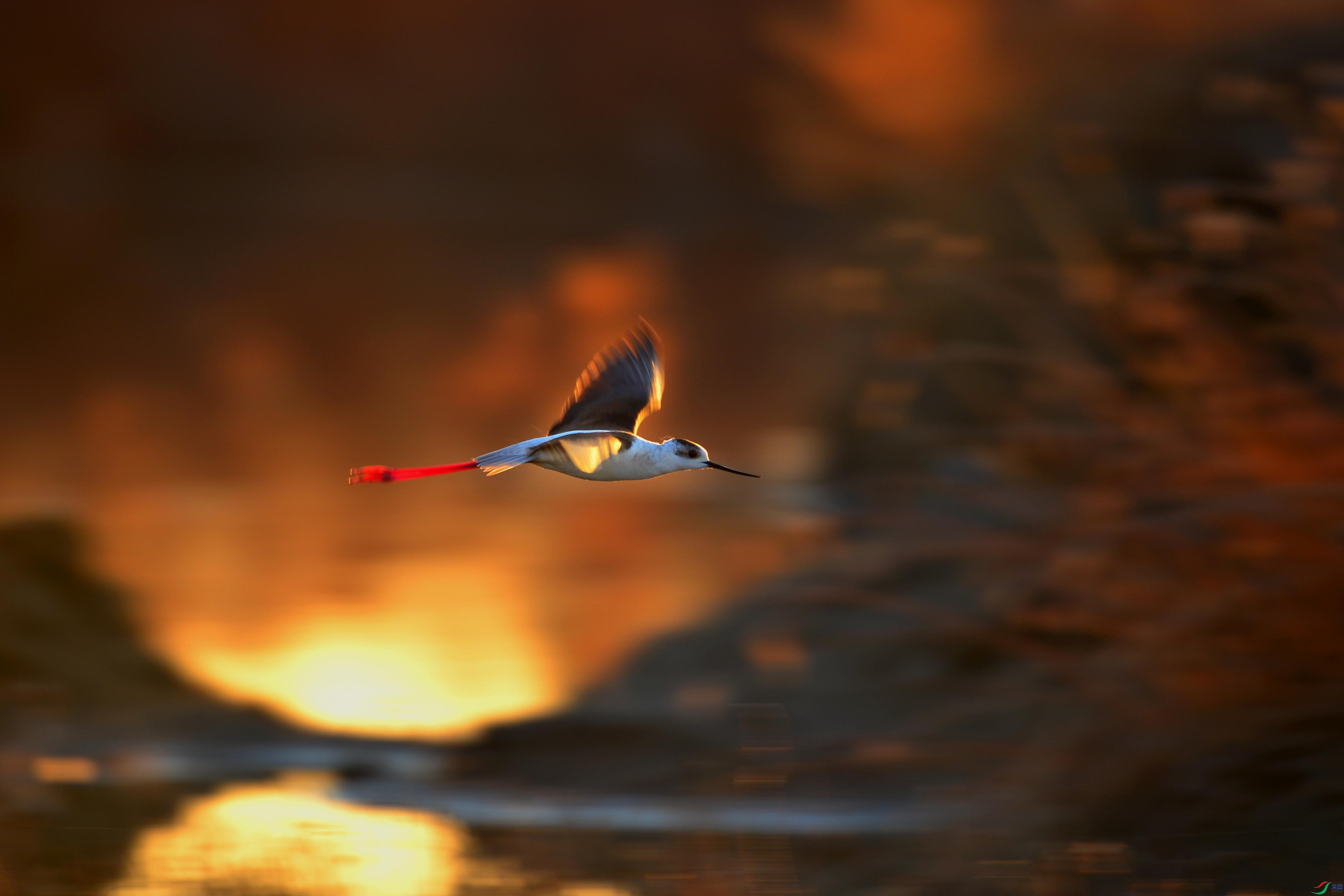 �\�᳤����