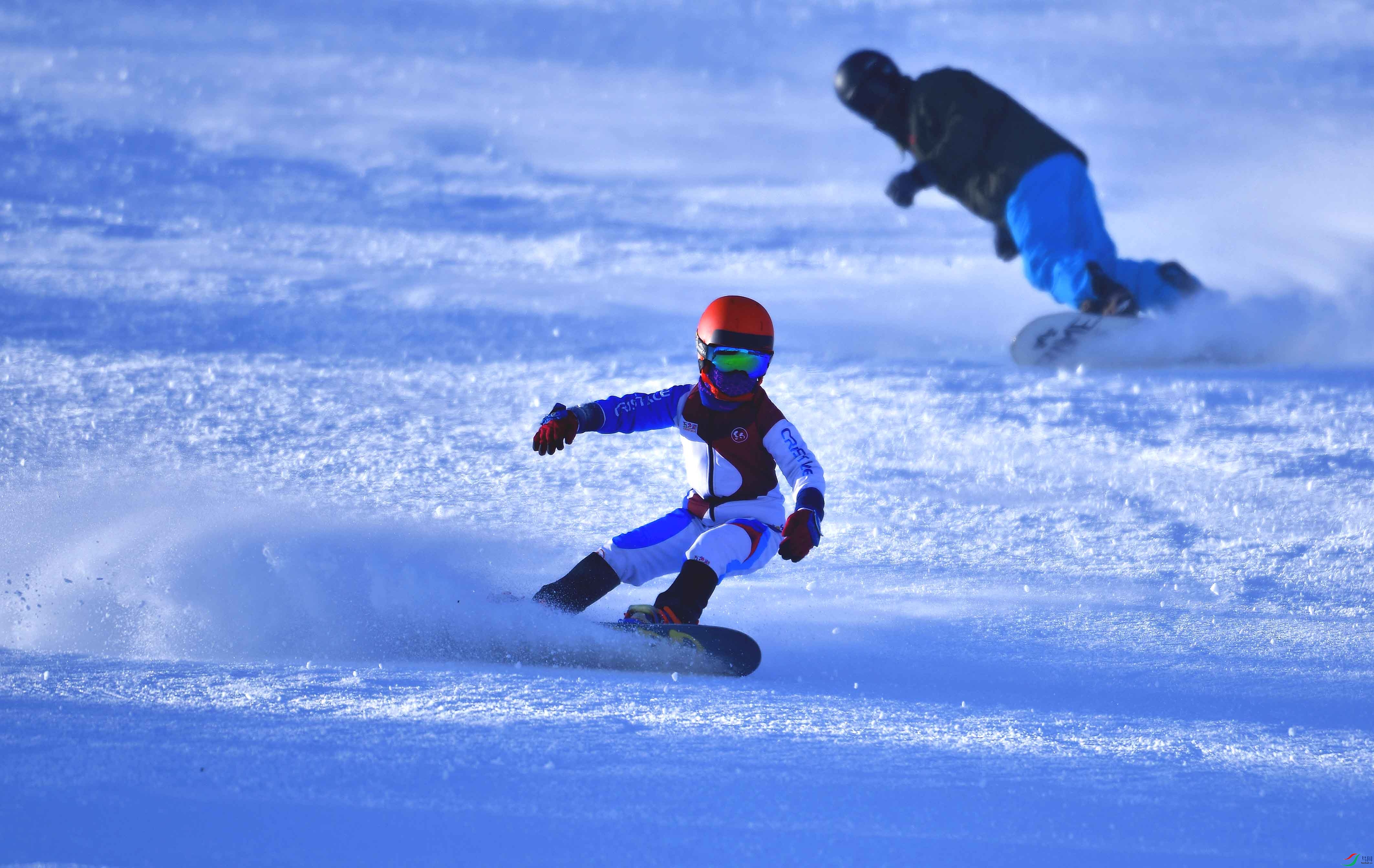 ������������