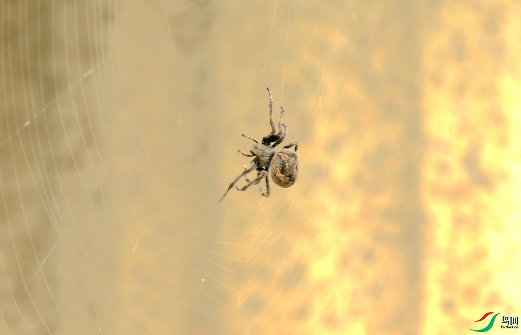 367A2663_����.jpg