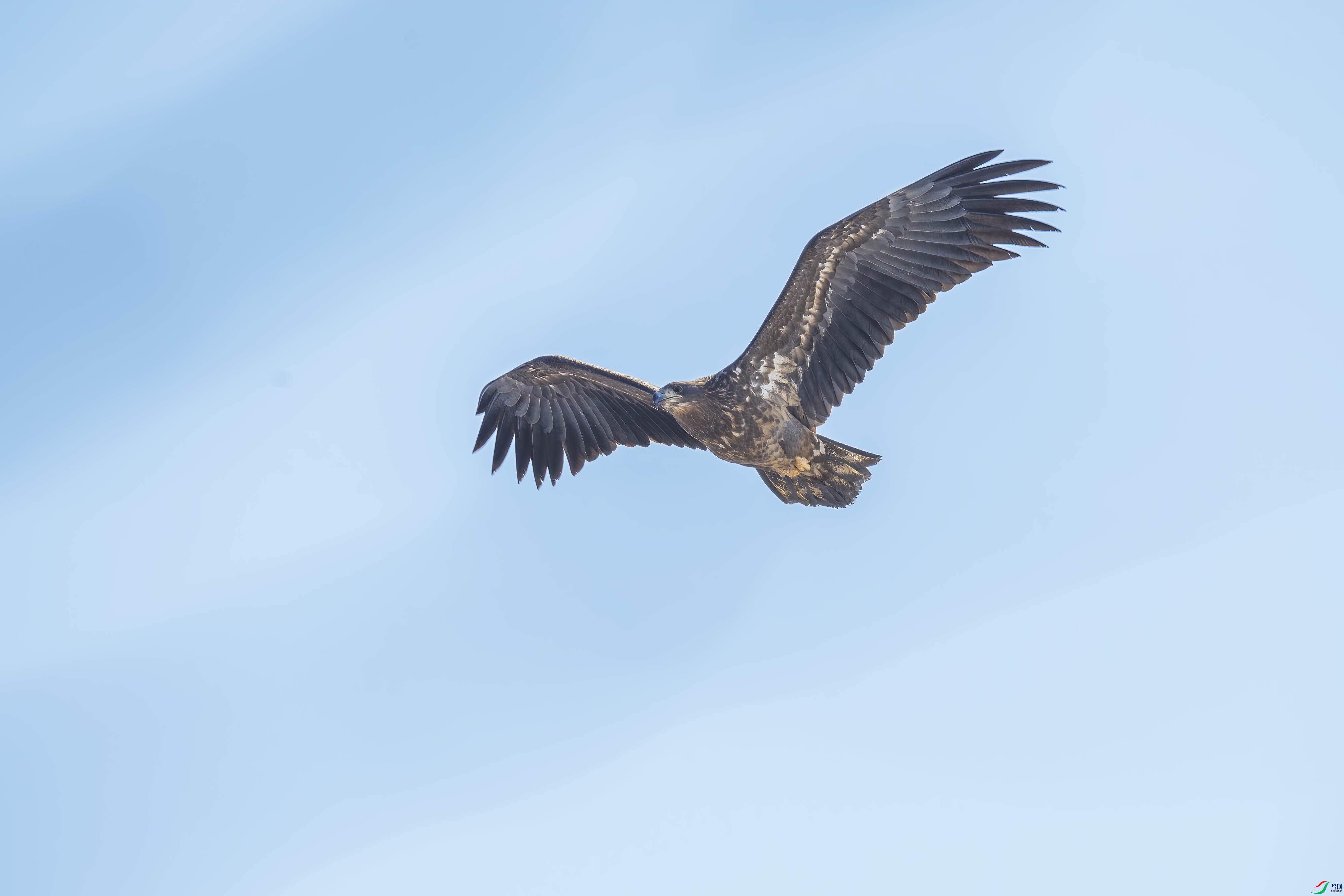 DSC_5795 ����.jpg