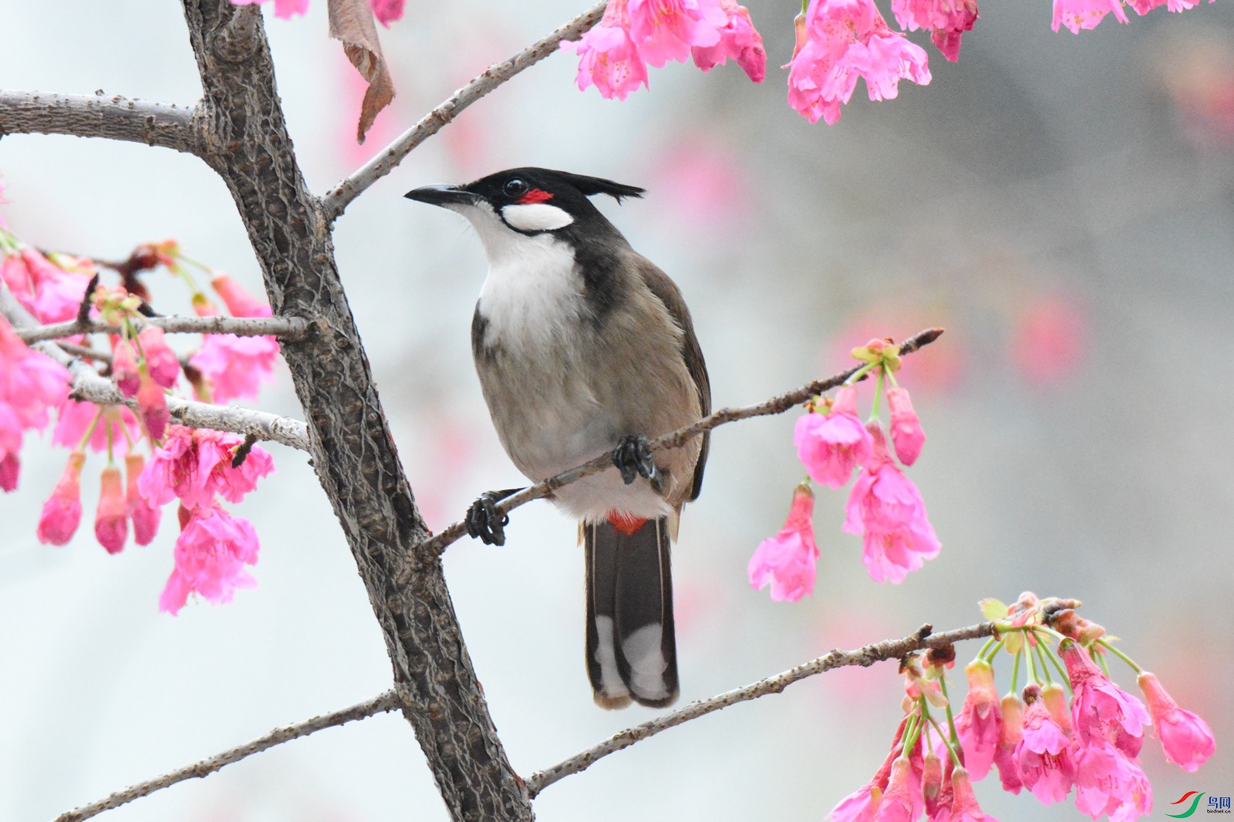 DSC_5022_�����㶫.jpg
