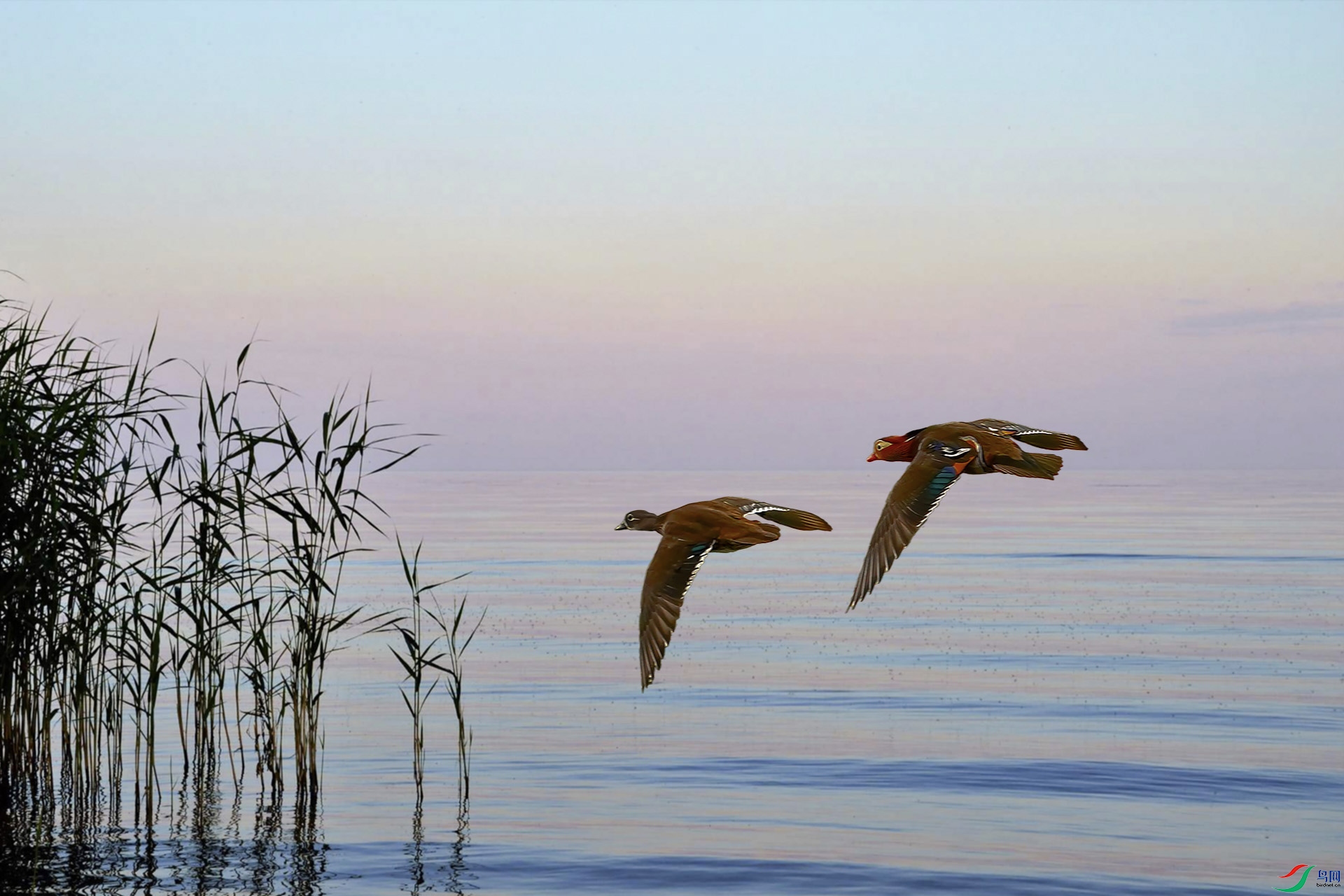 ˫�� 1920x500k.jpg