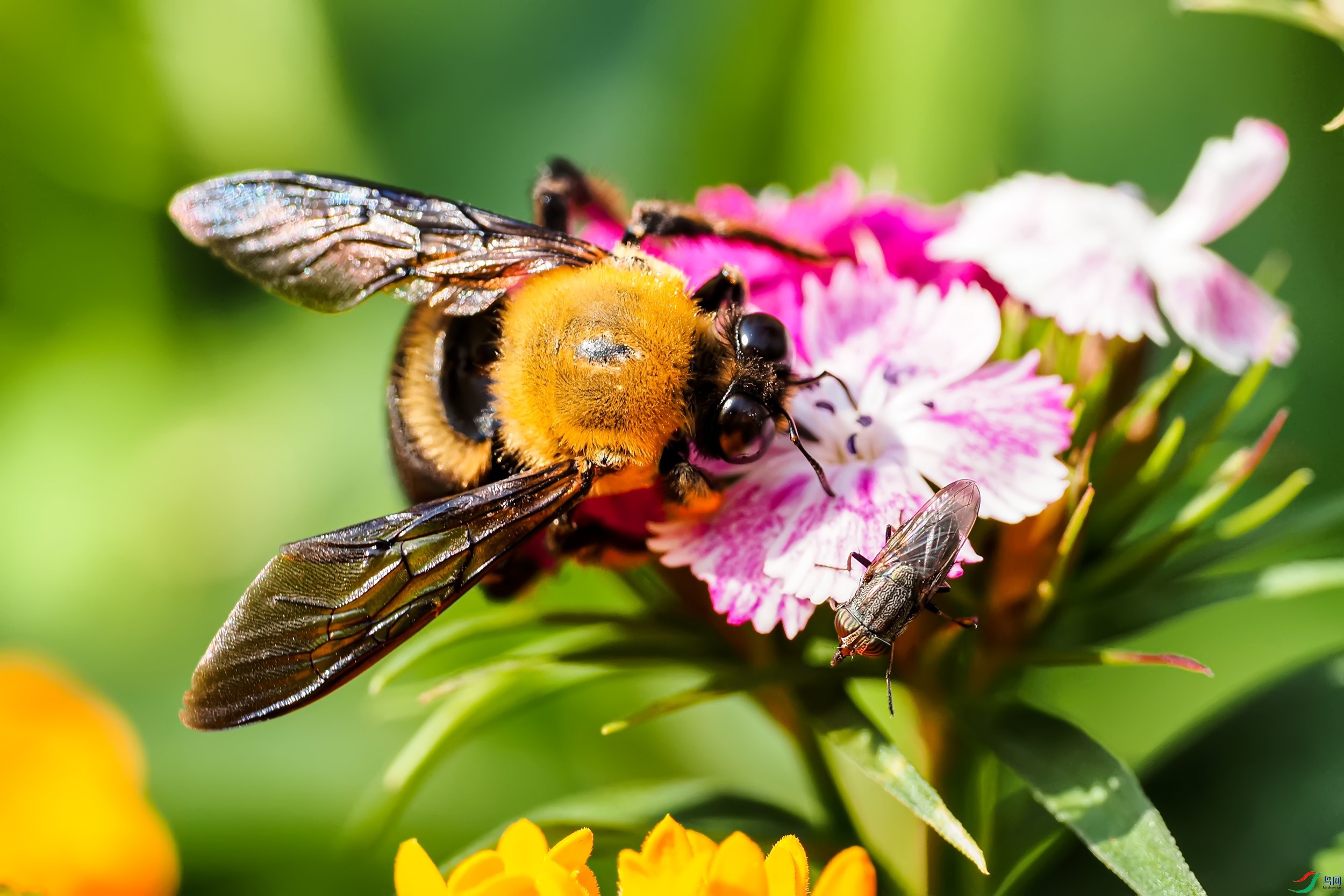 PB100787-1.jpg