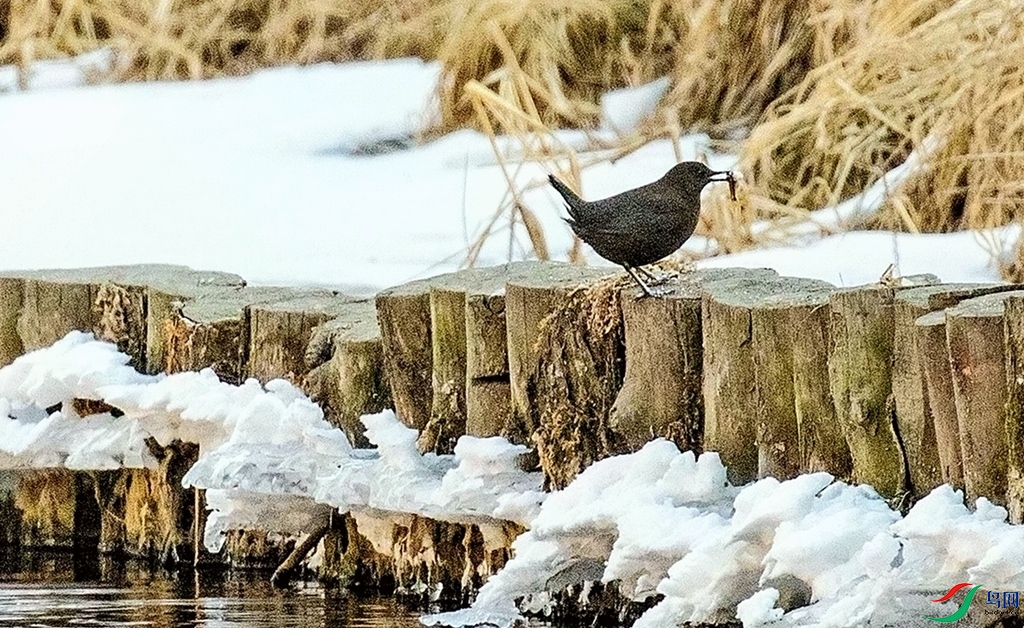 �������� (2).jpg