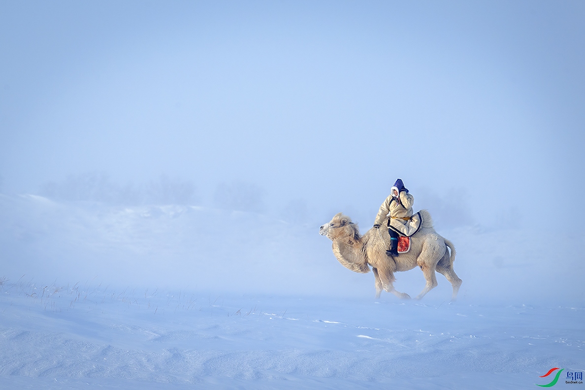 ���������ɹ�������ͳ����ͼ��